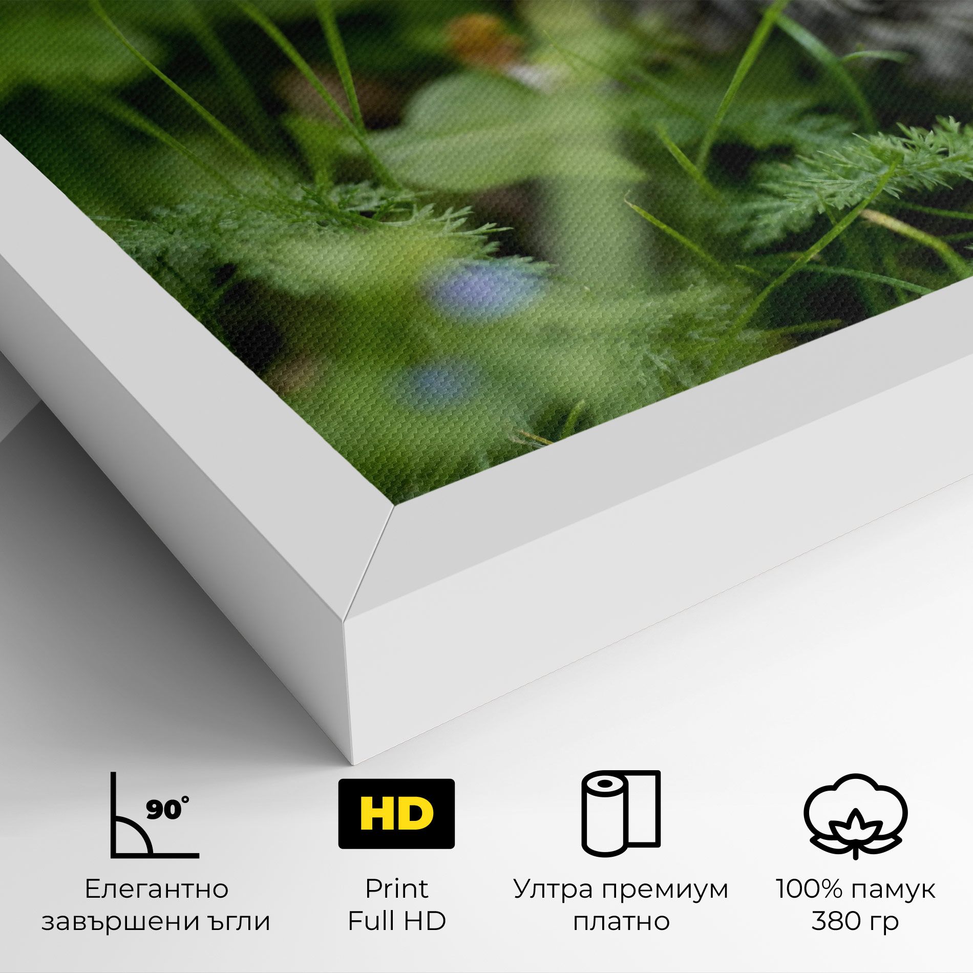 Brown Baby Cat mockup 4