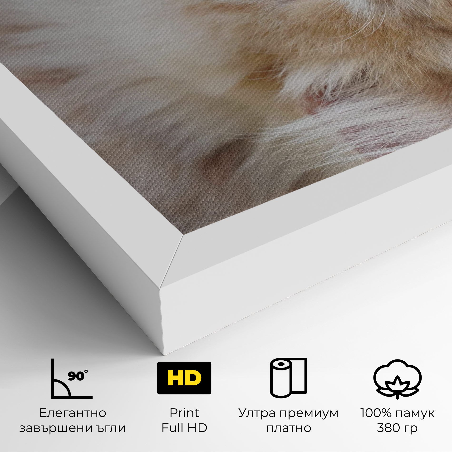 Close Up Yellow Eyes Cat mockup 4
