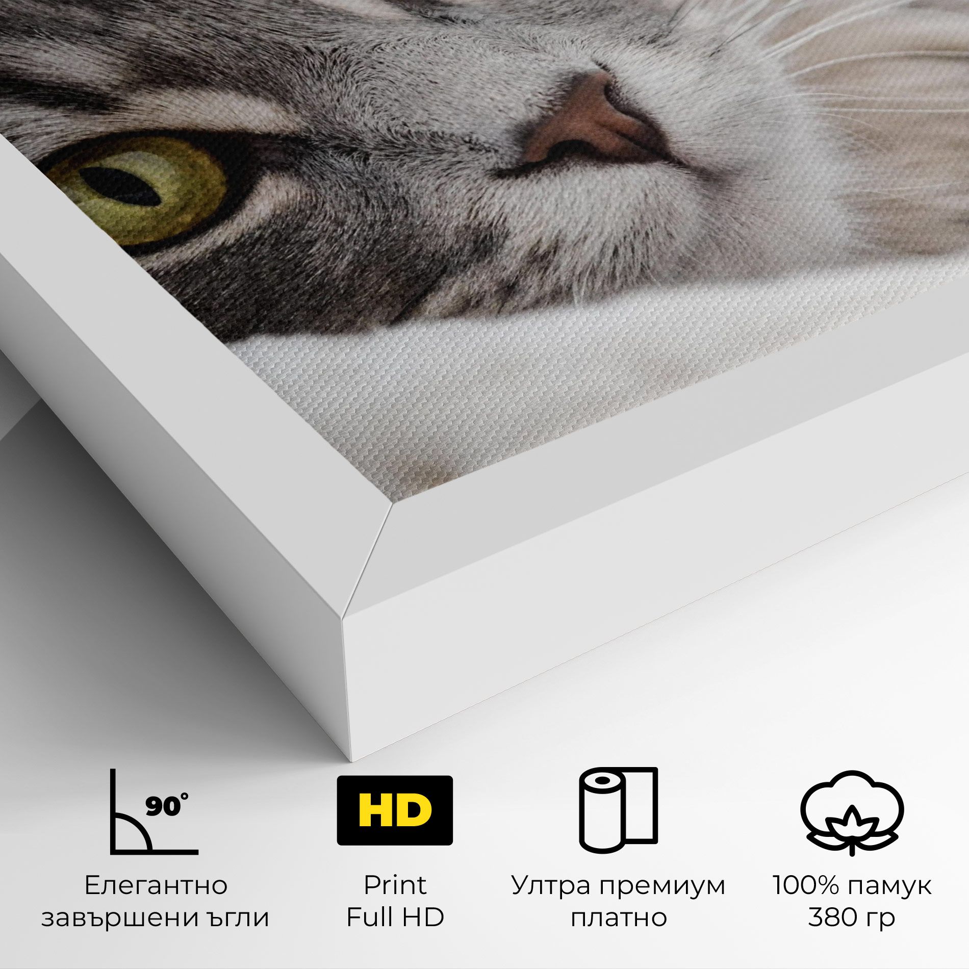 Grey Fluffy Cat mockup 4