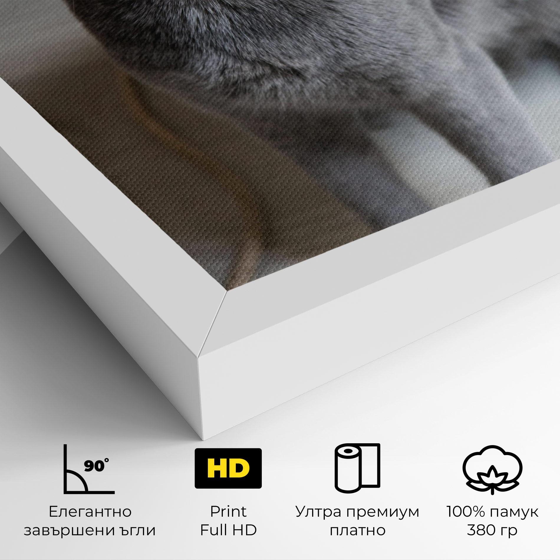 Картина на платно Grey Green Cat Eyes mockup 4