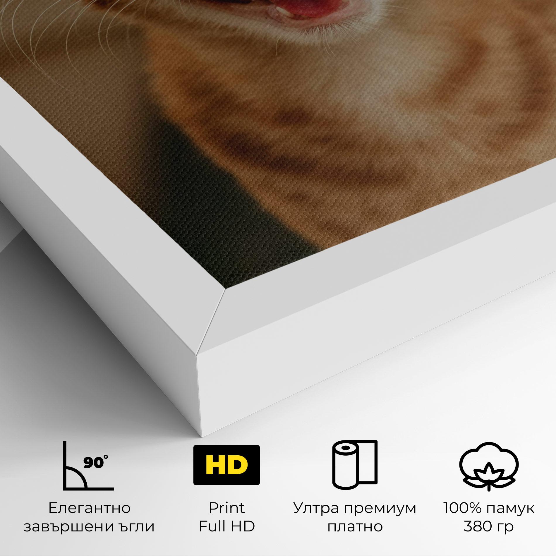 Картина на платно Orange Cat Smiling mockup 4