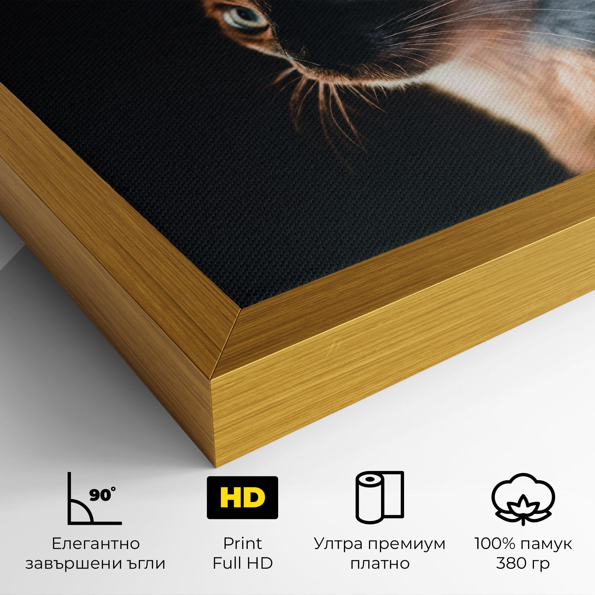 Картина на платно Blue Eyes Cat In Dark mockup 4