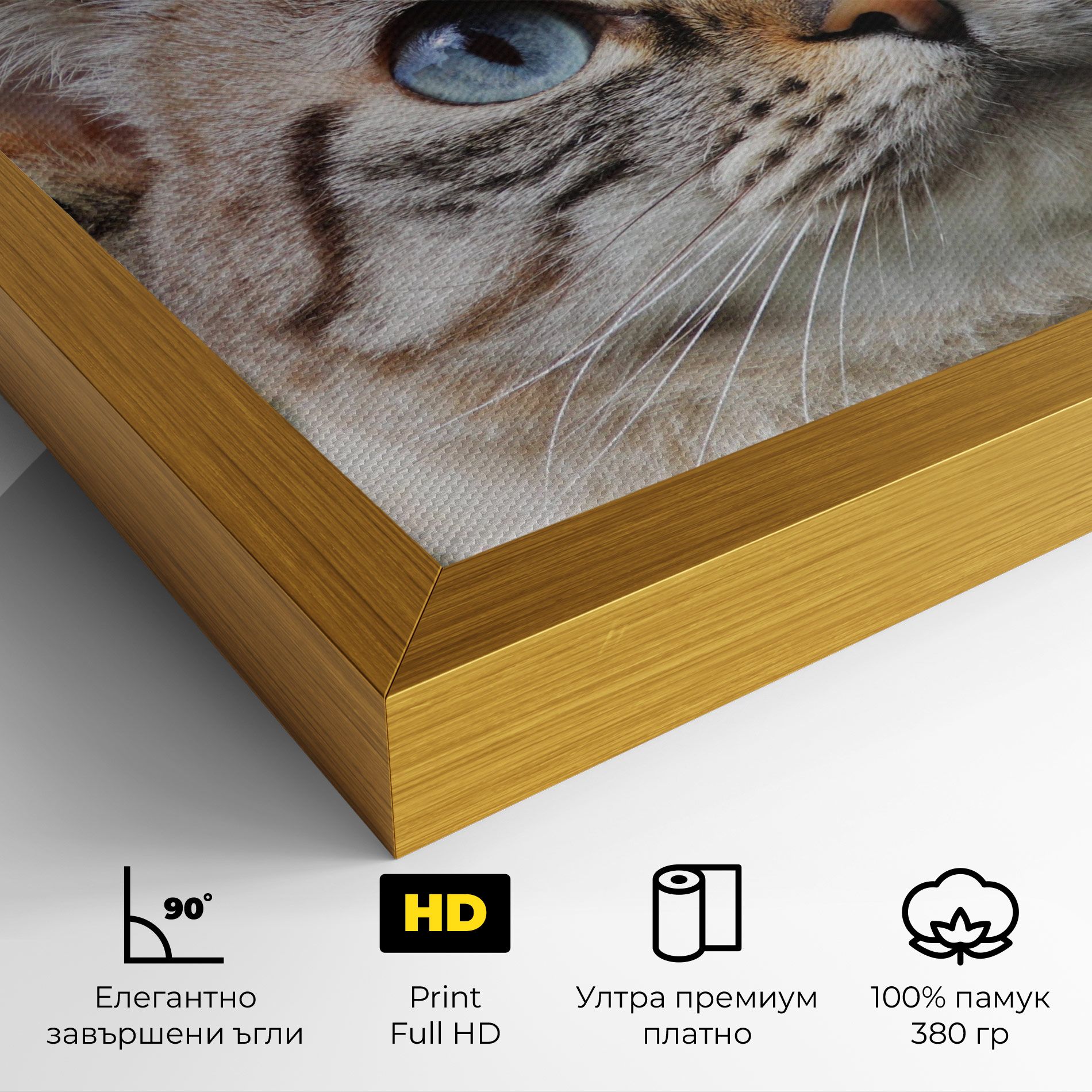 Blue Eyes Cutie mockup 4