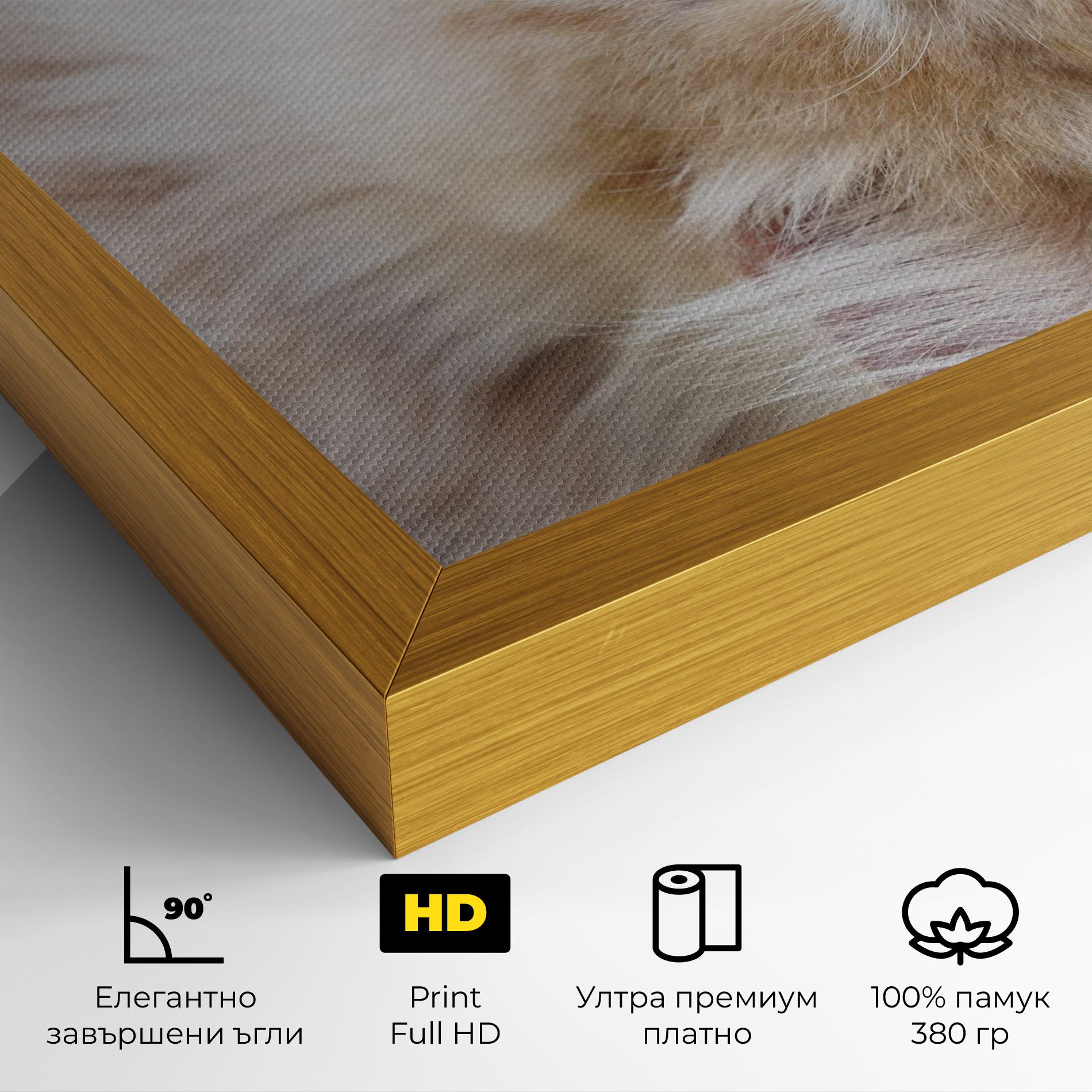 Close Up Yellow Eyes Cat mockup 4