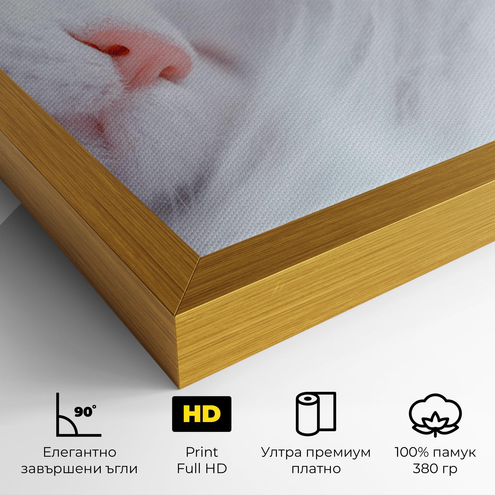 Картина на платно Dreamy White Cat mockup 4