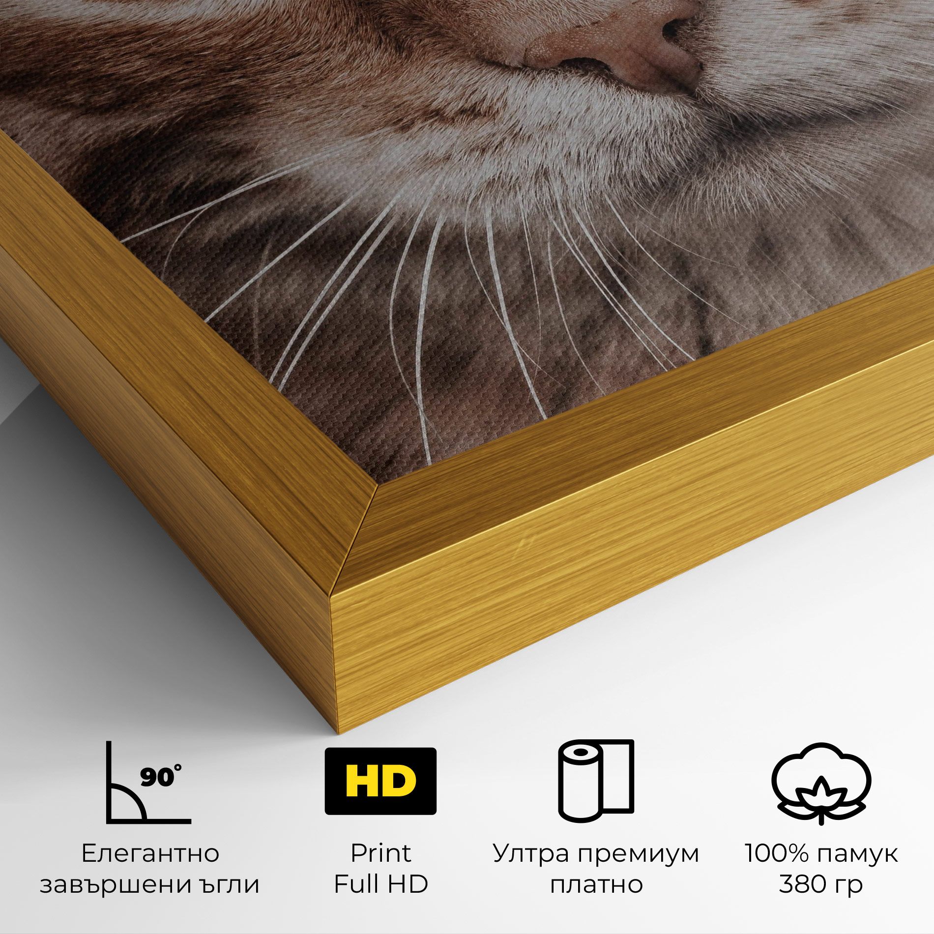 Fire Eyes Cat mockup 4