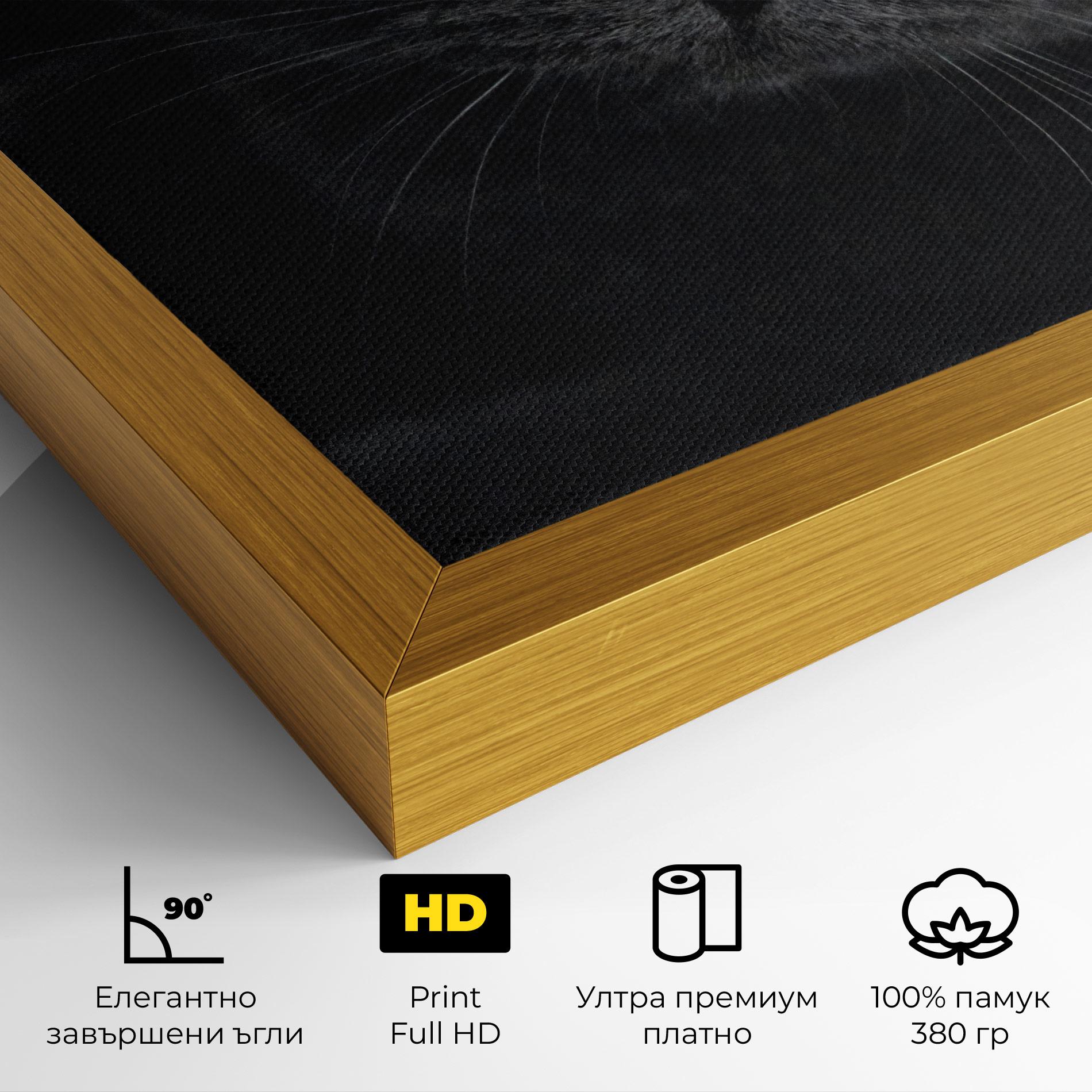 Картина на платно Grey Cat With Orange Eyes mockup 4