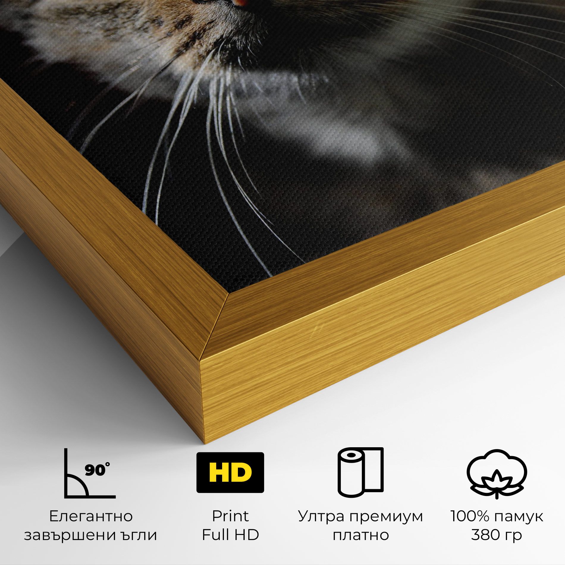 Playful Cat mockup 4