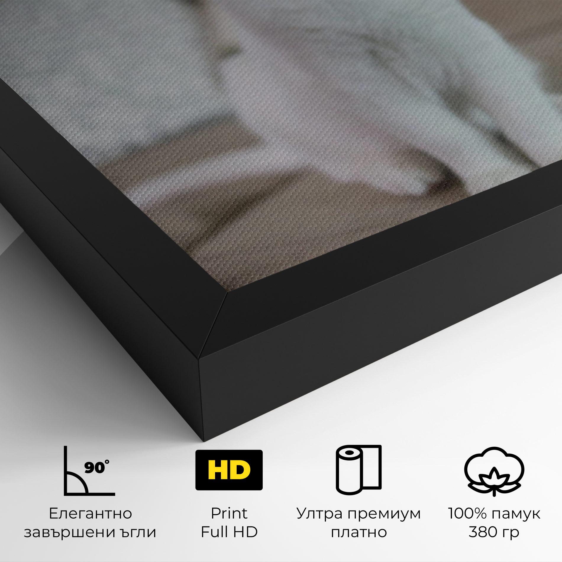 Картина на платно Beautiful White Cat mockup 4