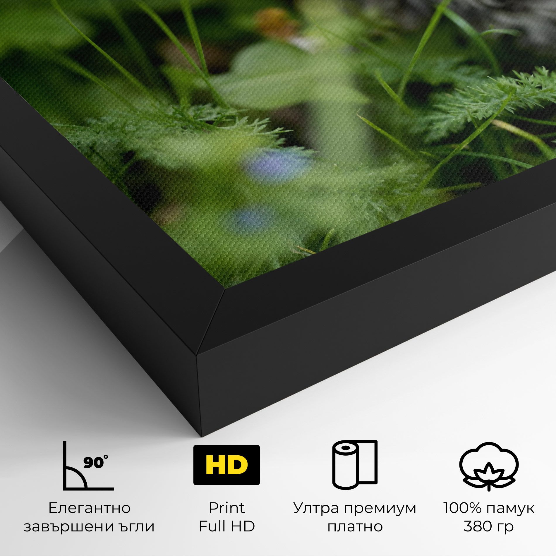 Brown Baby Cat mockup 4