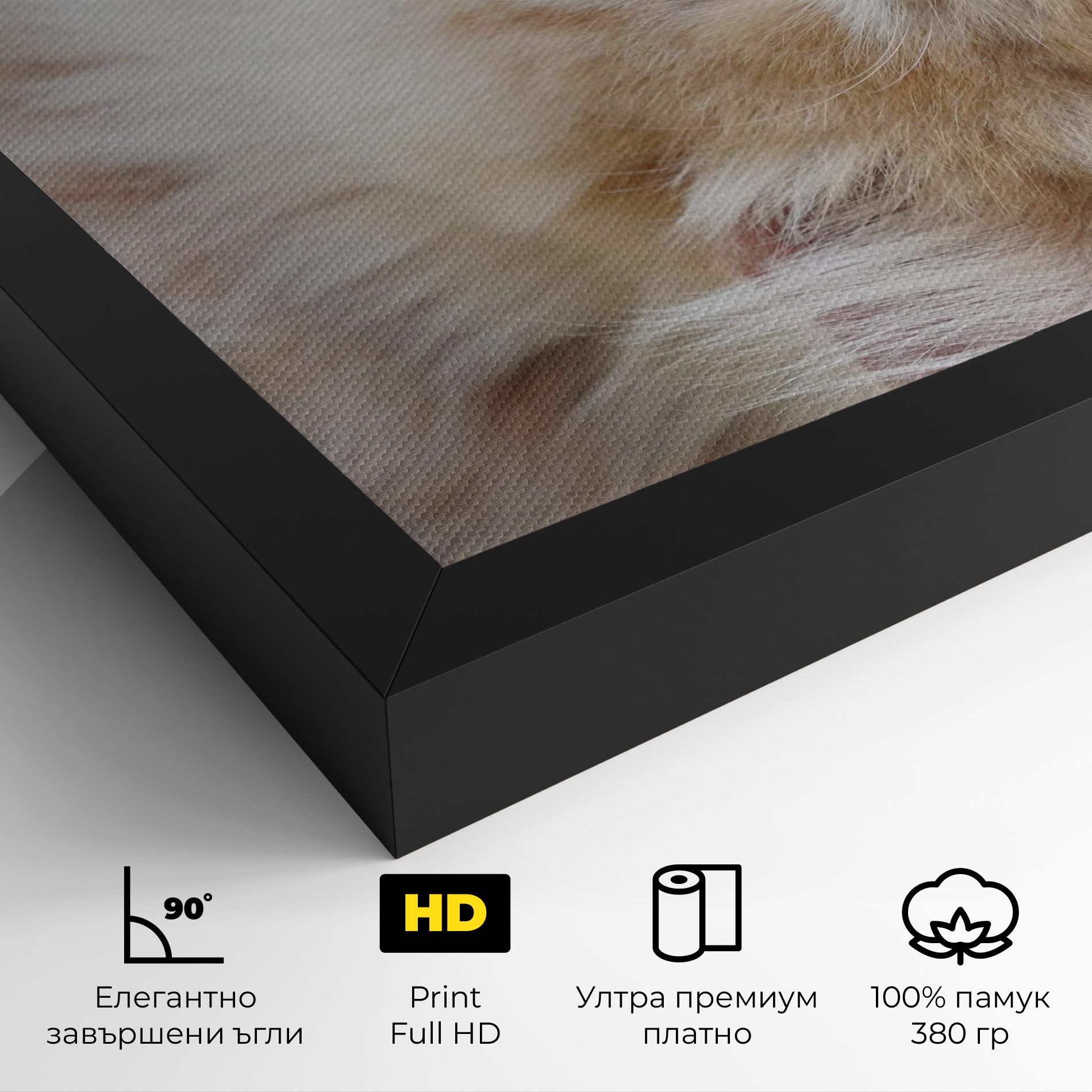 Close Up Yellow Eyes Cat mockup 4