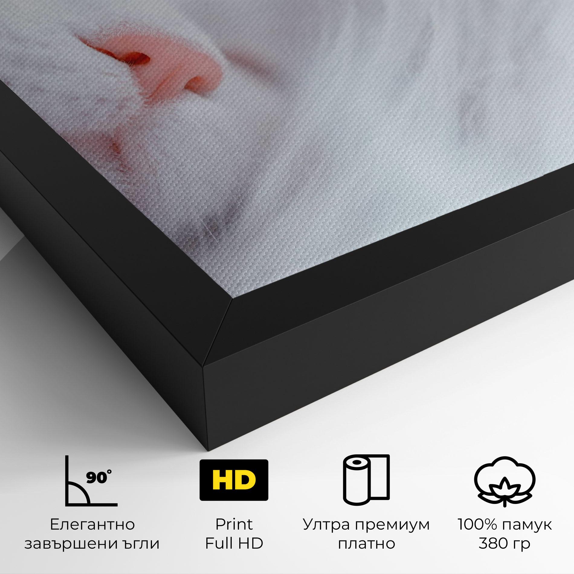 Картина на платно Dreamy White Cat mockup 4