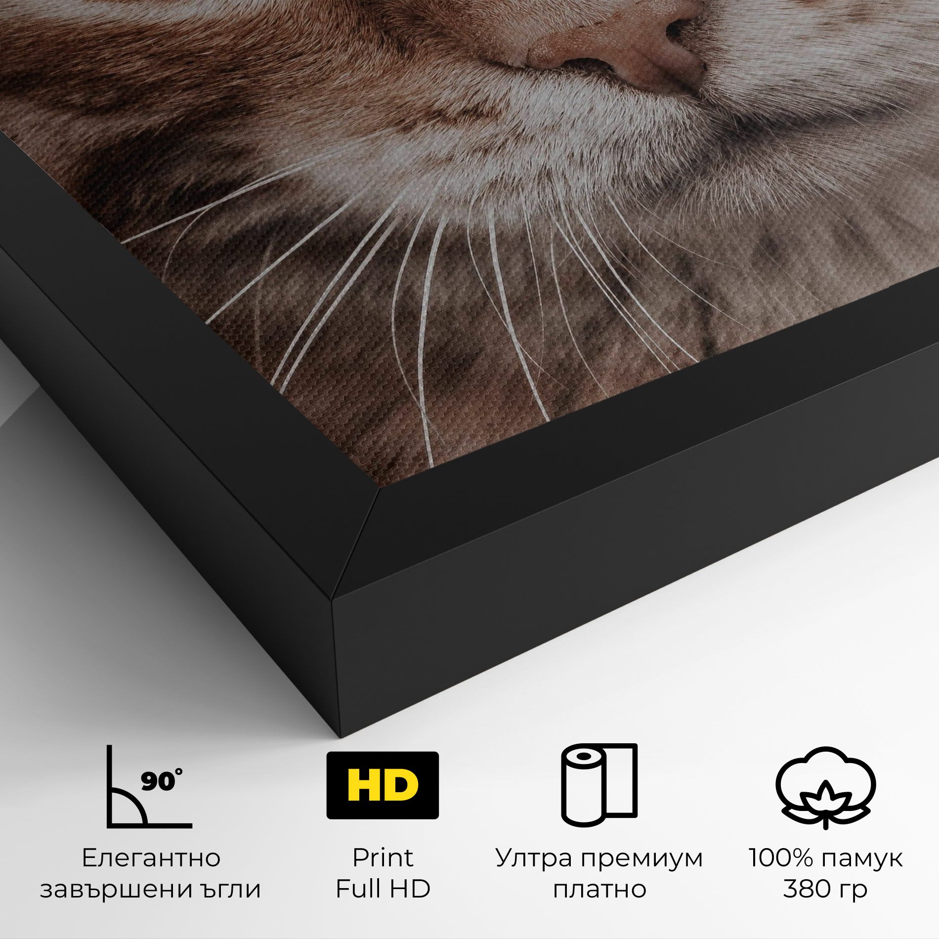 Fire Eyes Cat mockup 4