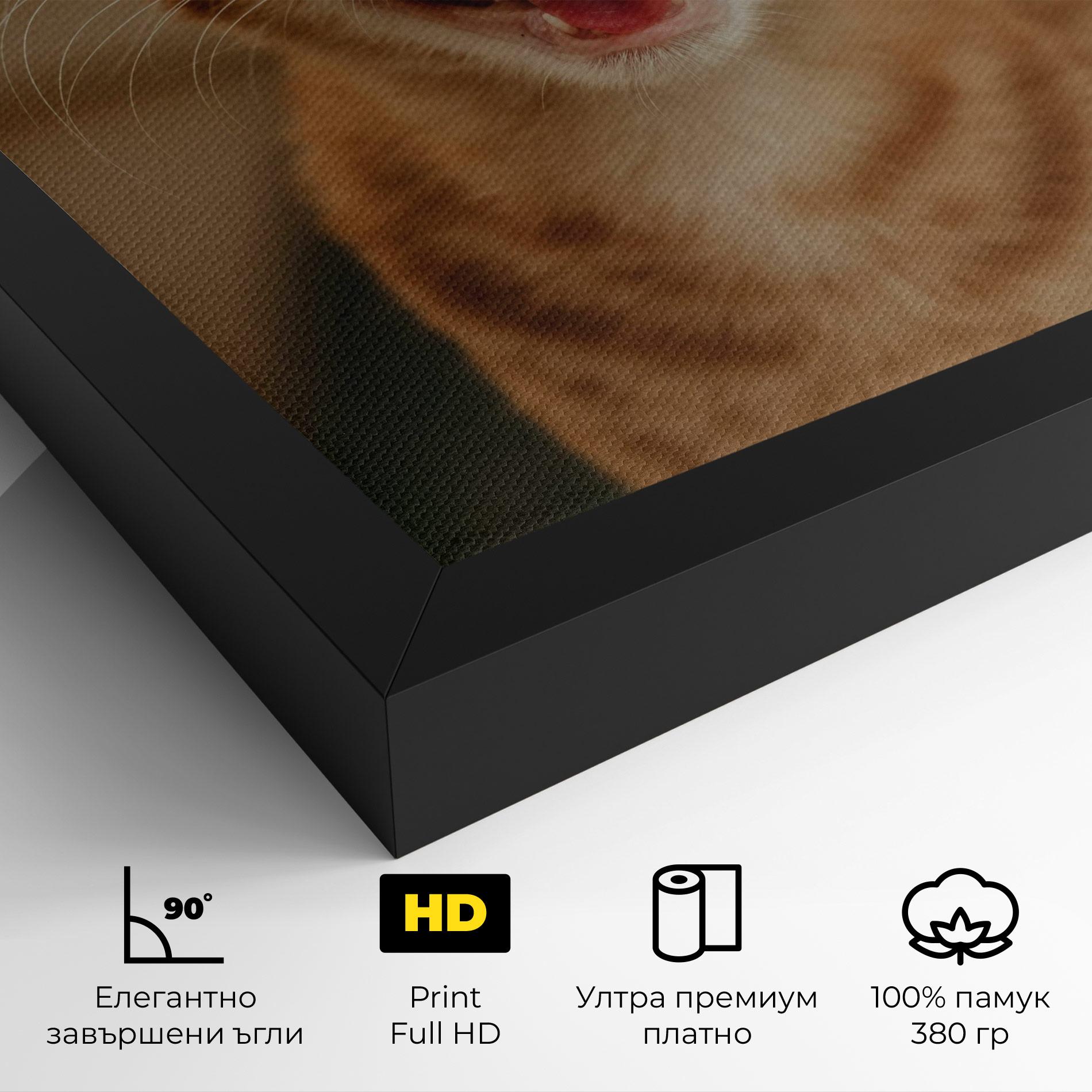 Картина на платно Orange Cat Smiling mockup 4