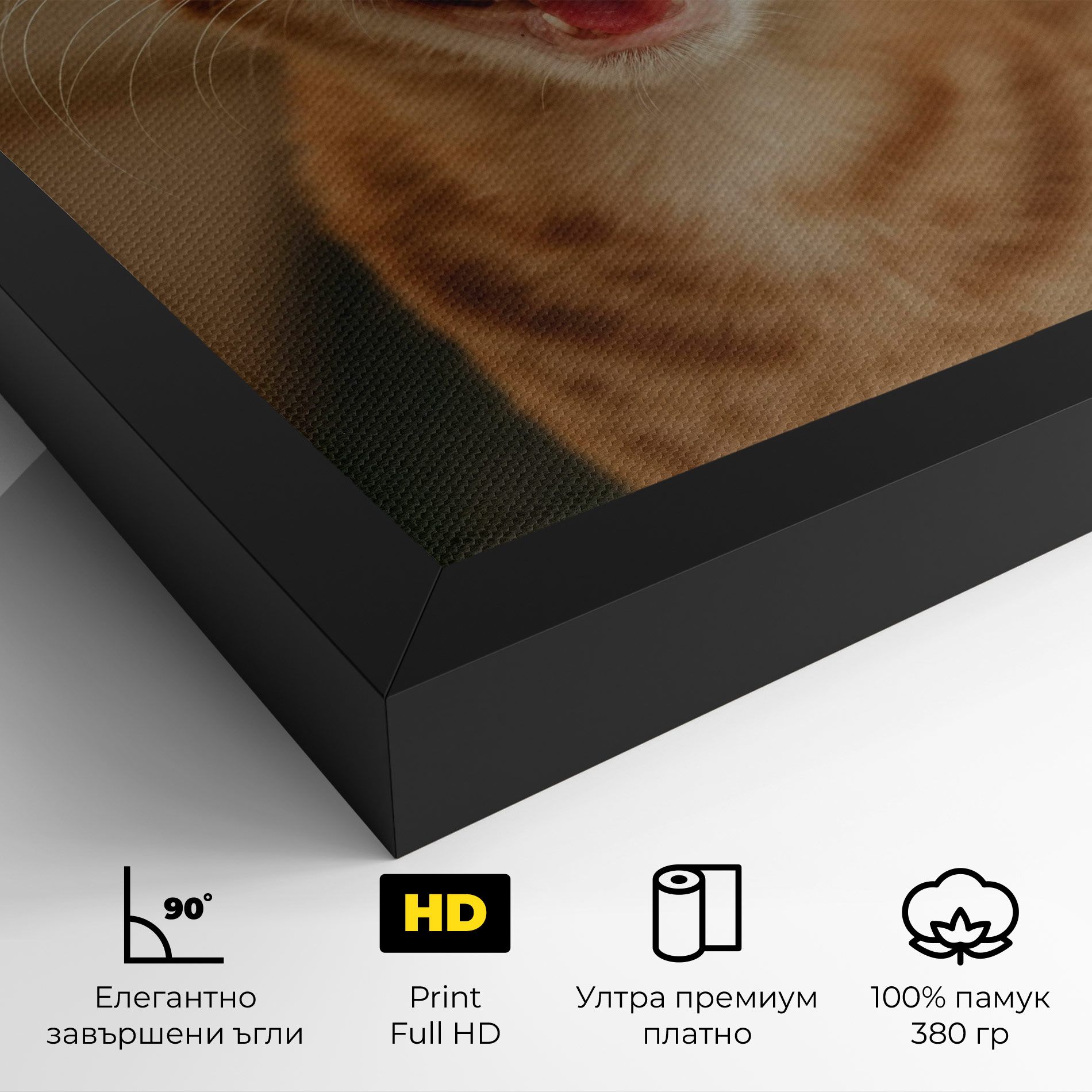 Orange Cat Smiling mockup 4