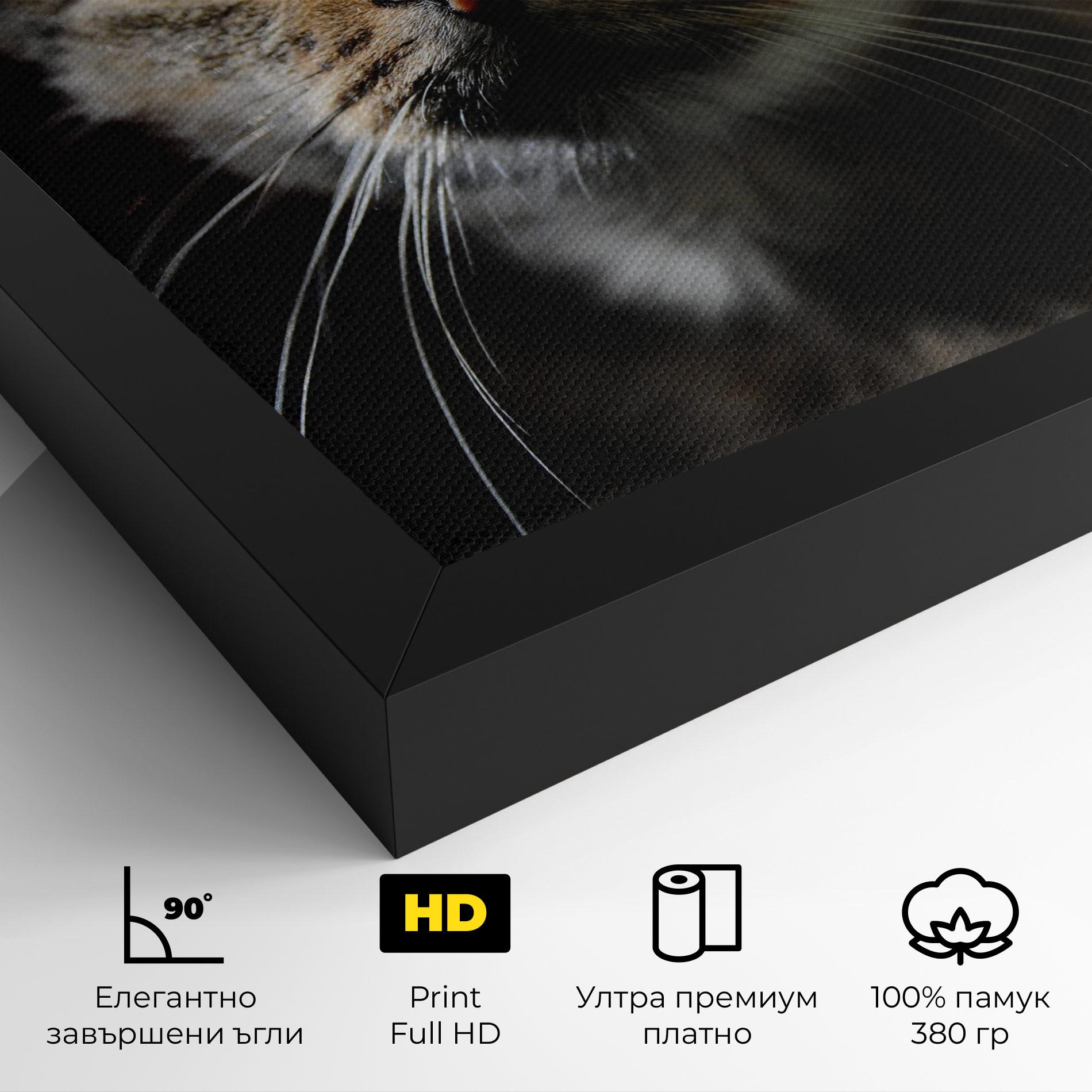Картина на платно Playful Cat mockup 4
