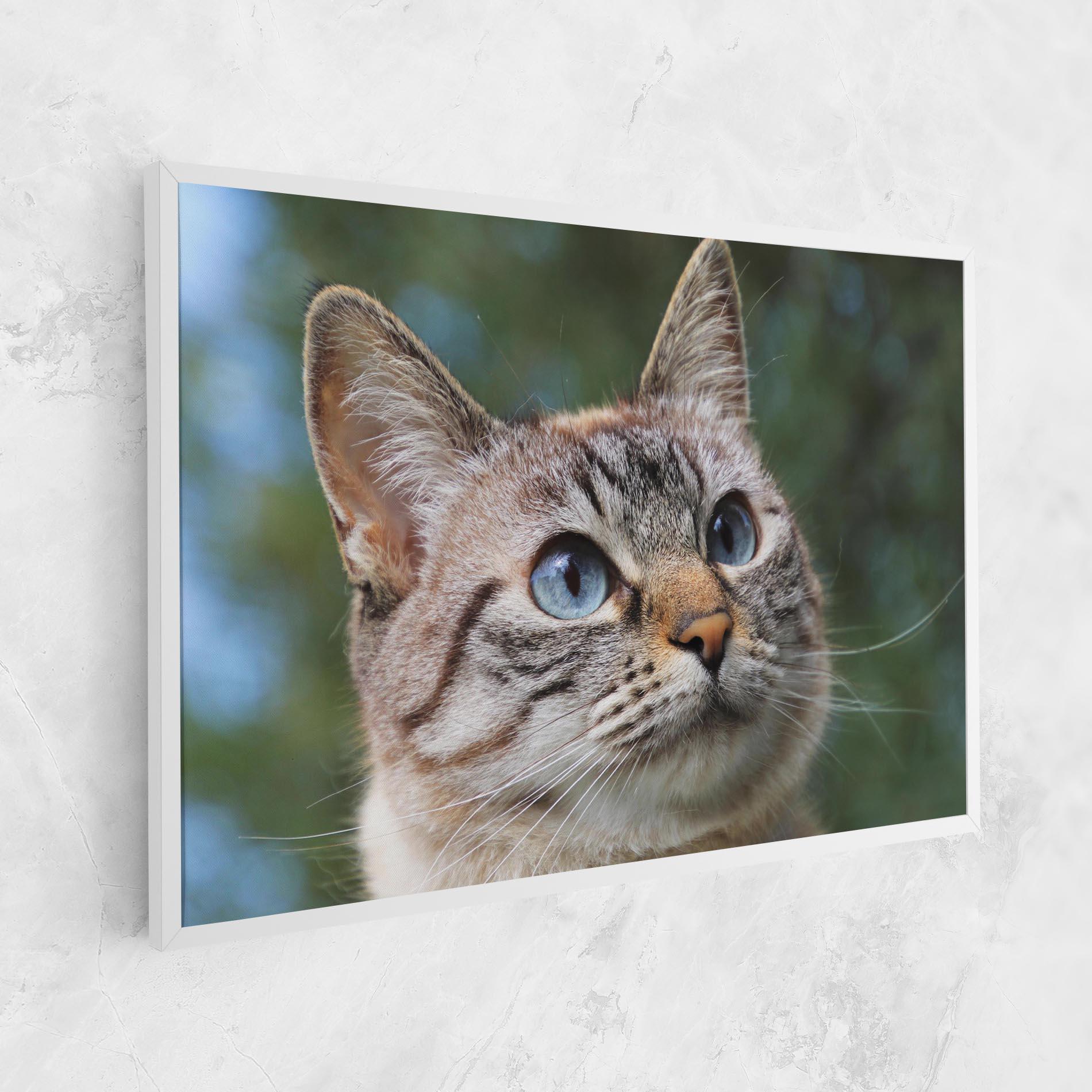 Картина на платно Blue Eyes Cutie mockup 1