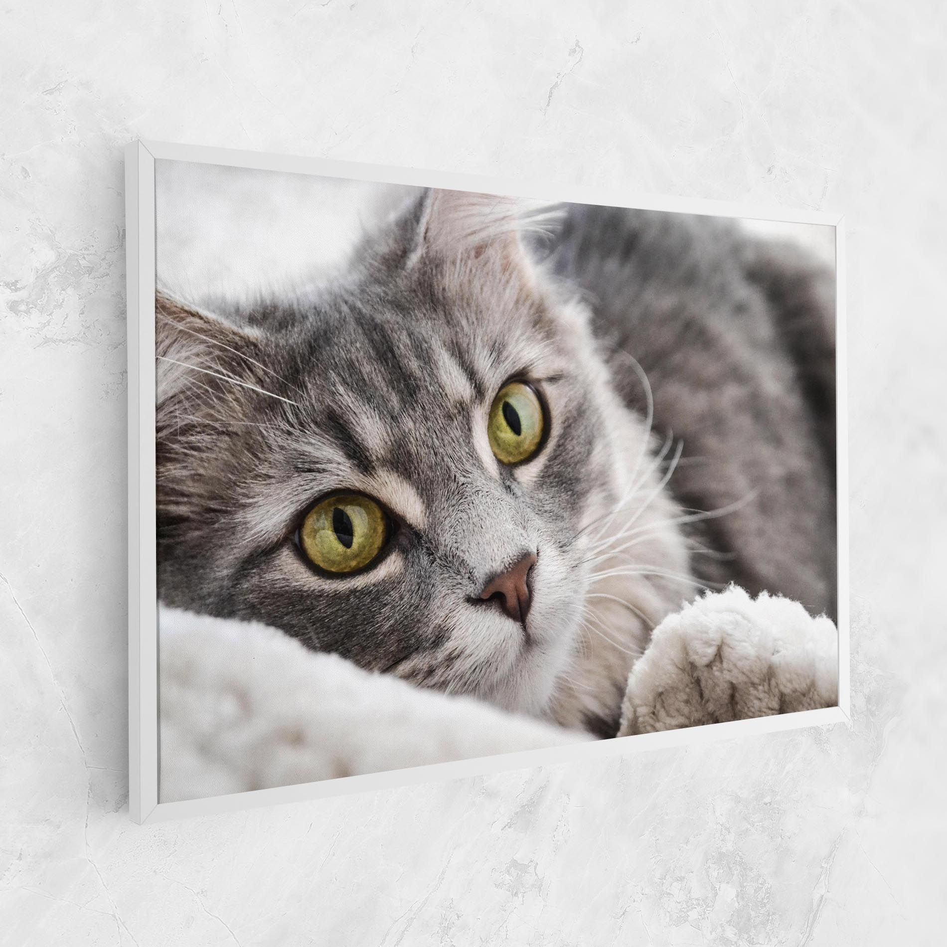 Grey Fluffy Cat mockup 1