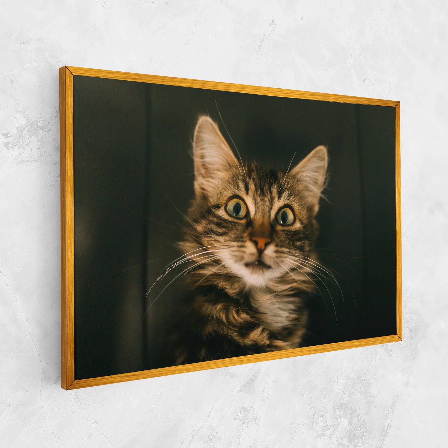Amazed Cat mockup 1