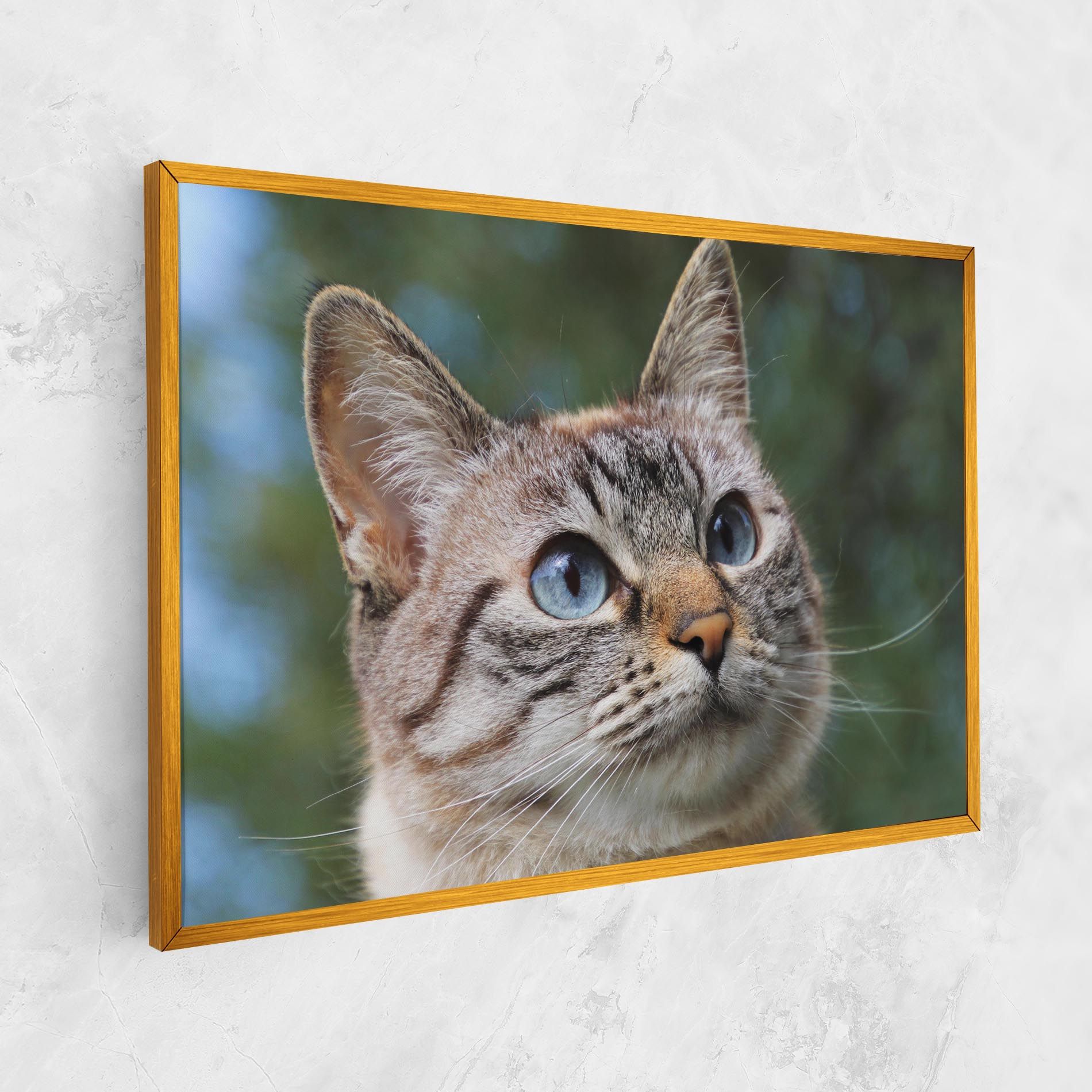 Blue Eyes Cutie mockup 1