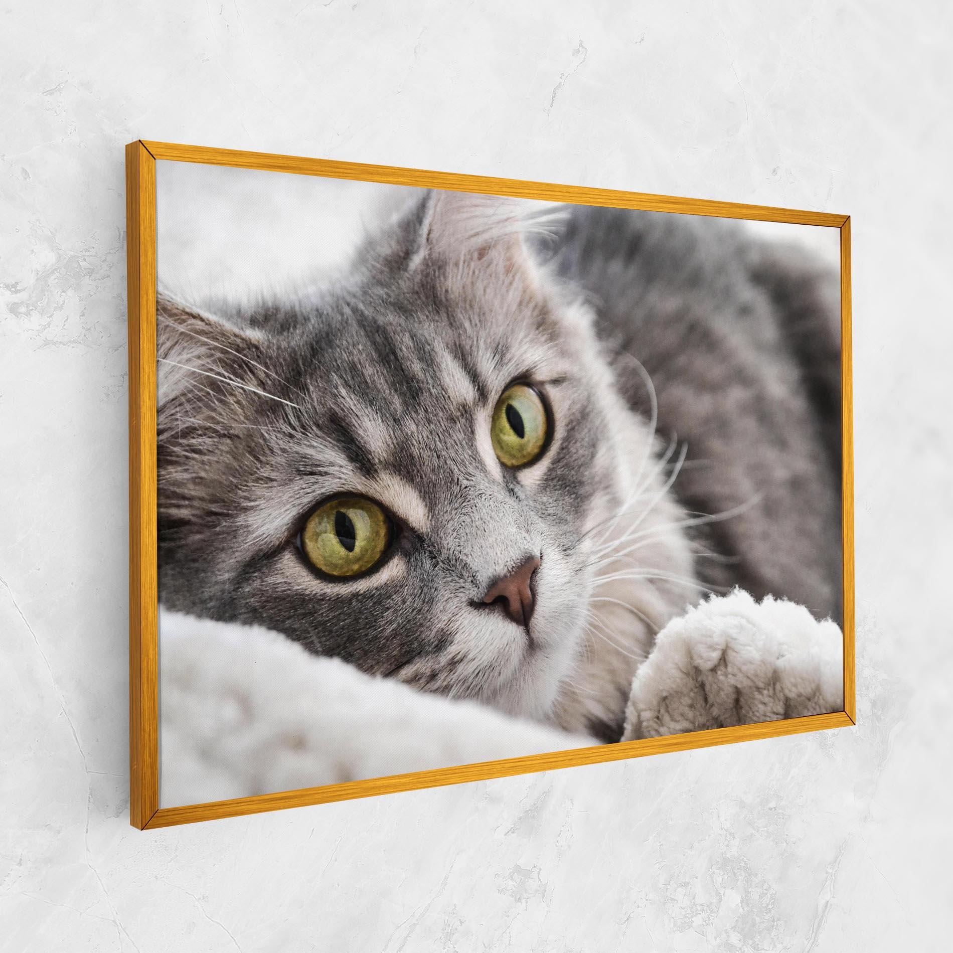 Картина на платно Grey Fluffy Cat mockup 1