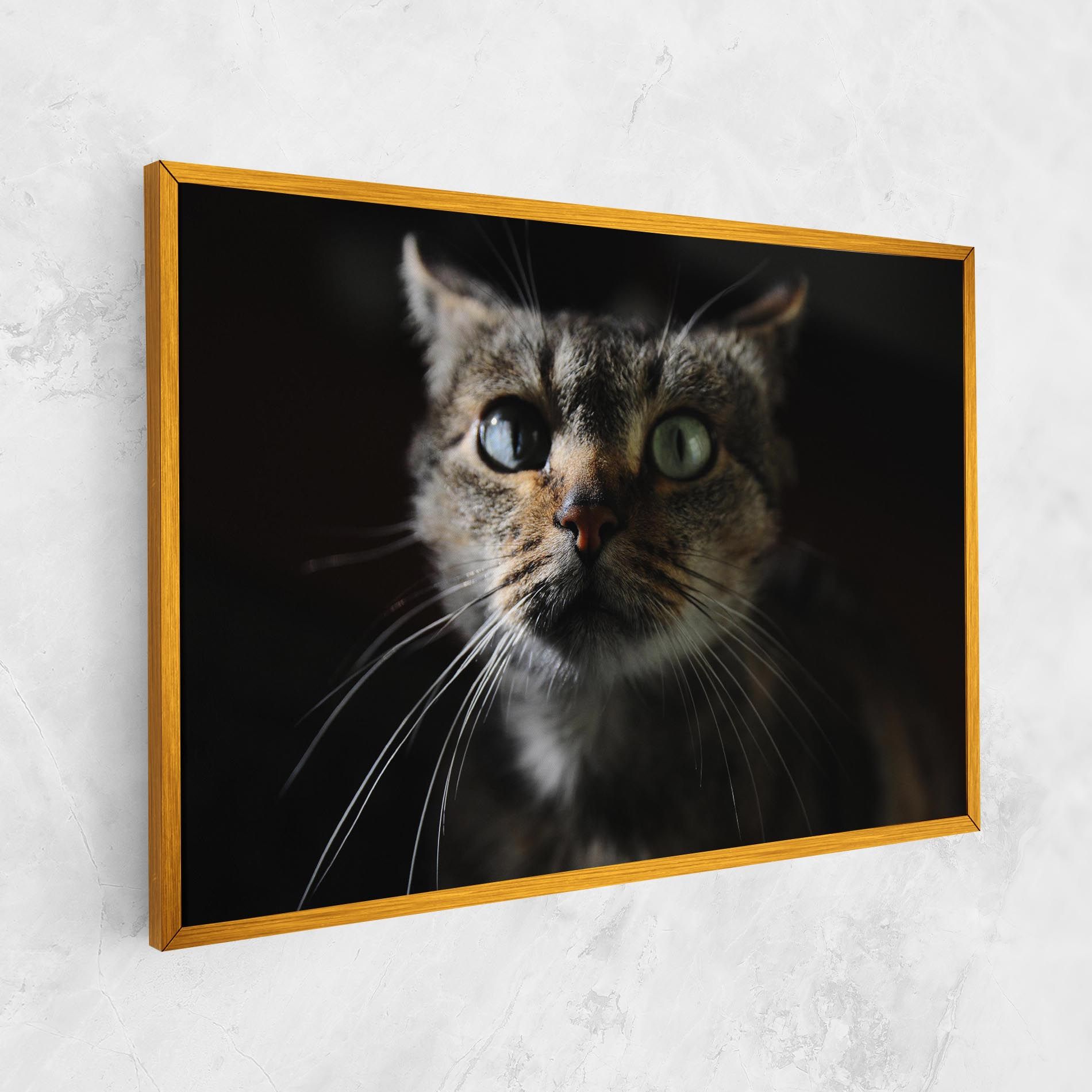 Playful Cat mockup 1