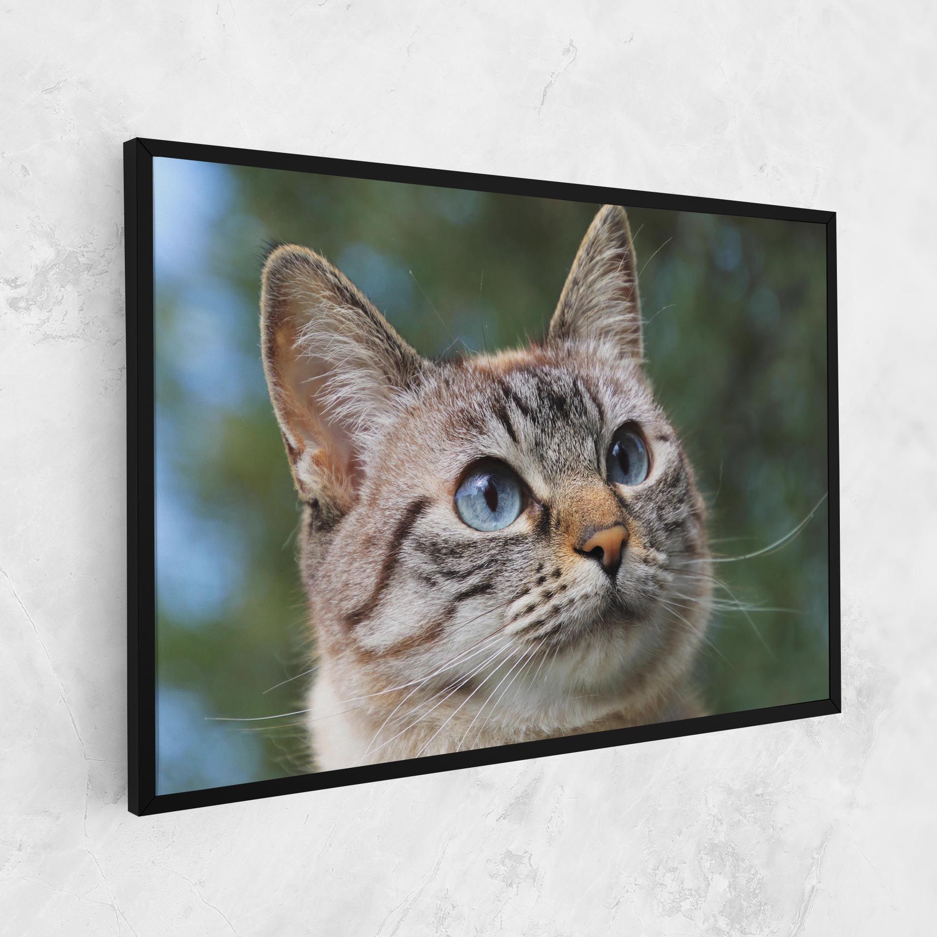 Blue Eyes Cutie mockup 1