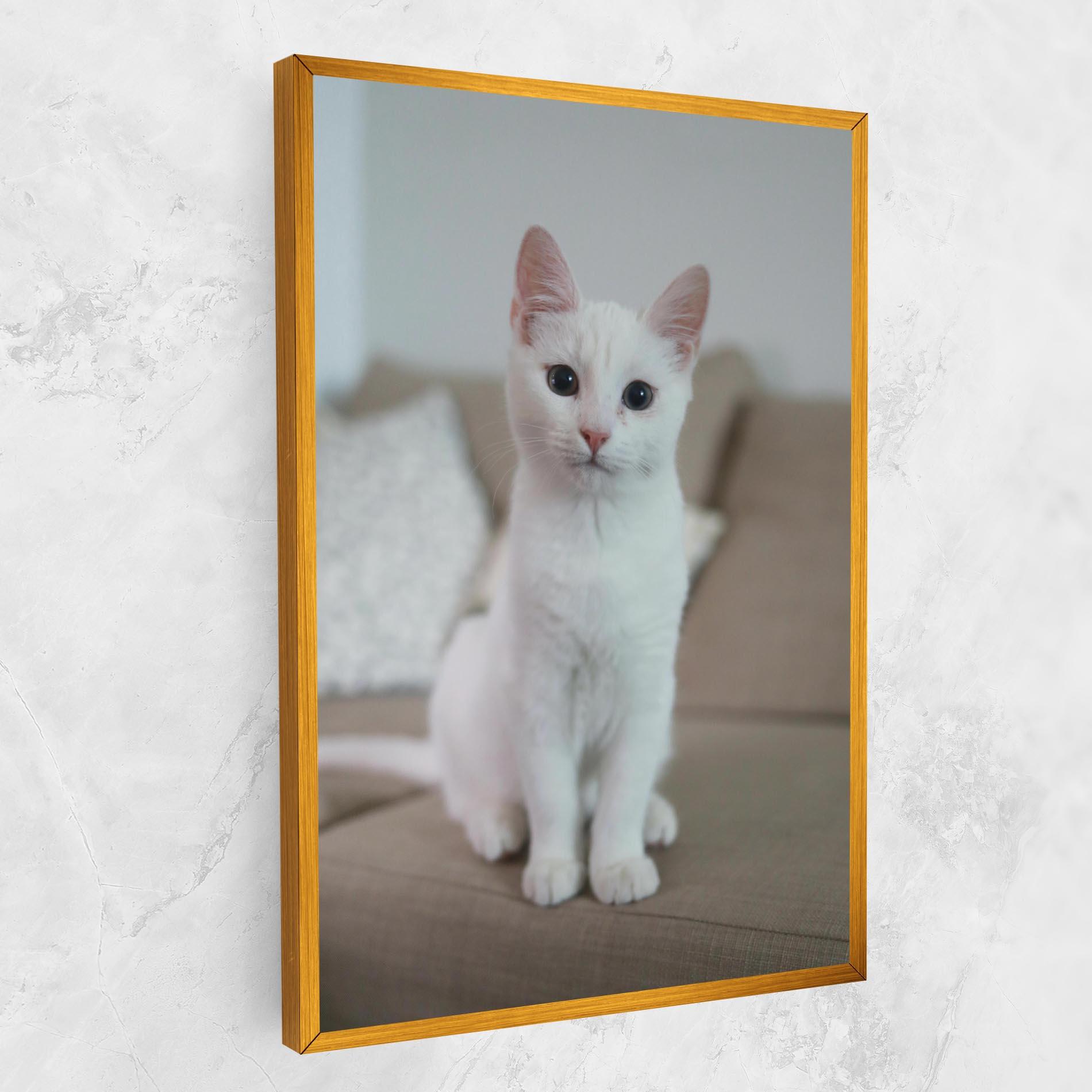 Картина на платно Beautiful White Cat mockup 1