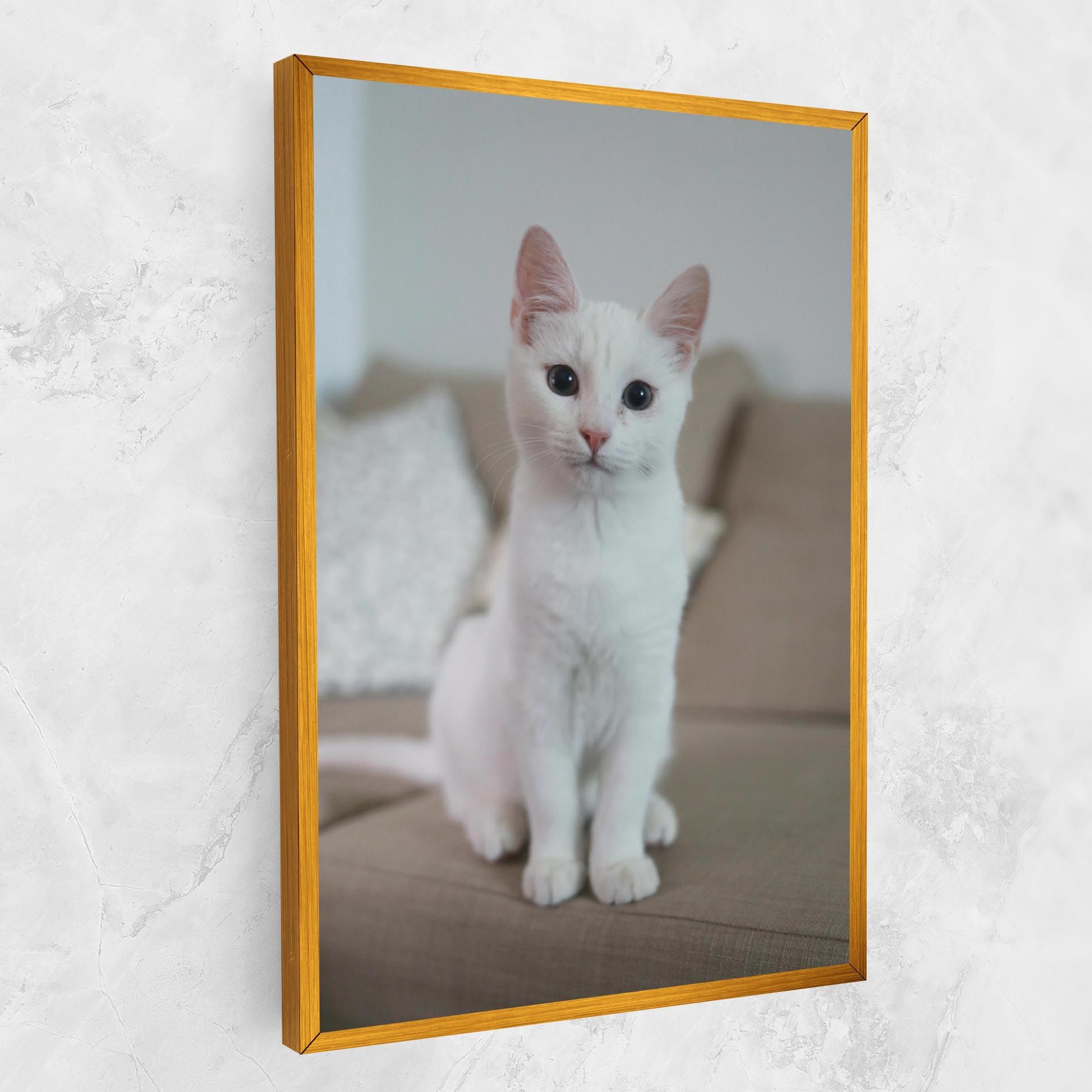 Beautiful White Cat mockup 1