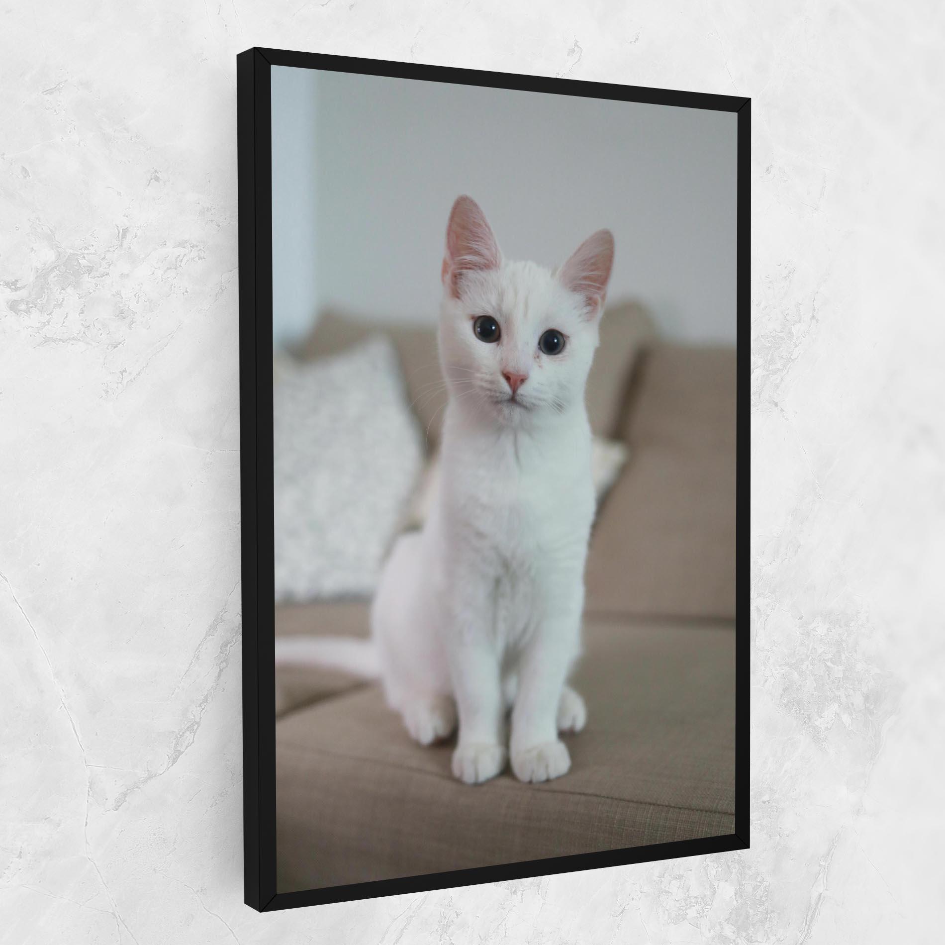 Картина на платно Beautiful White Cat mockup 1