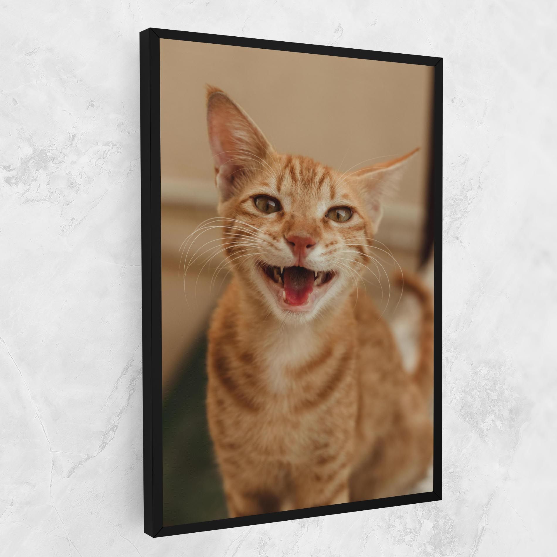 Orange Cat Smiling mockup 1