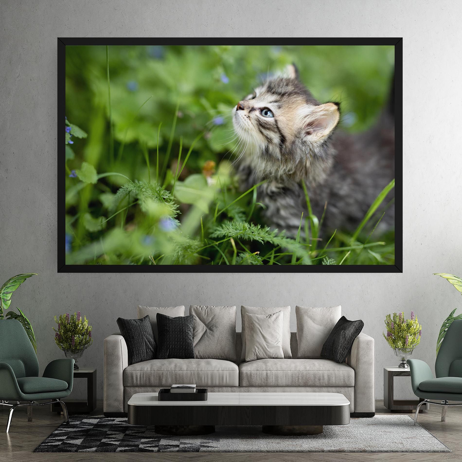 Brown Baby Cat mockup 7