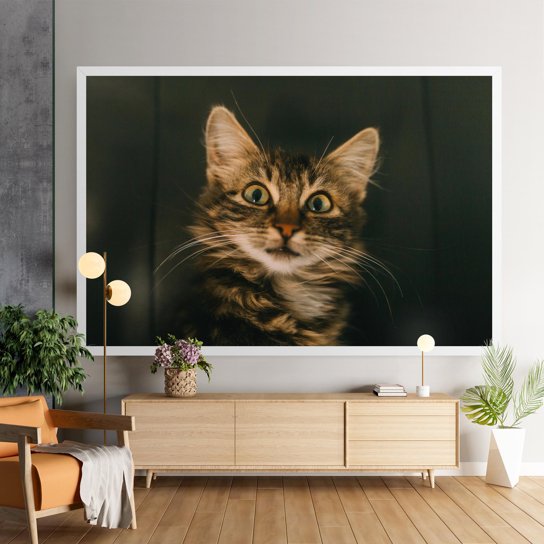 Картина на платно Amazed Cat mockup 9