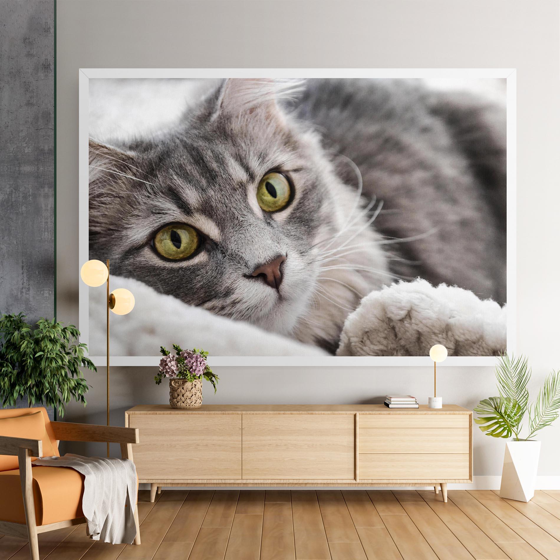 Картина на платно Grey Fluffy Cat mockup 9