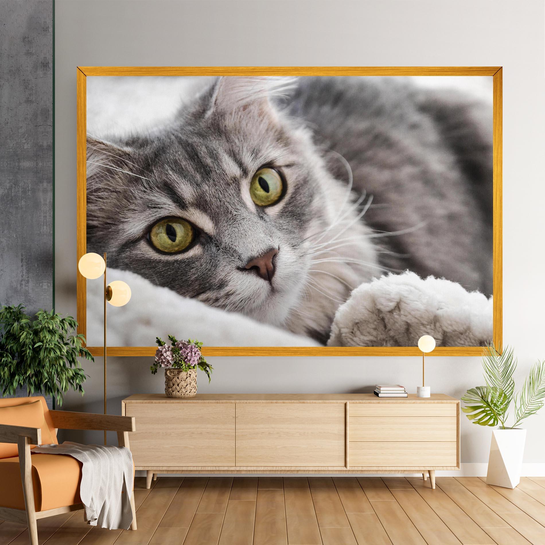 Картина на платно Grey Fluffy Cat mockup 9