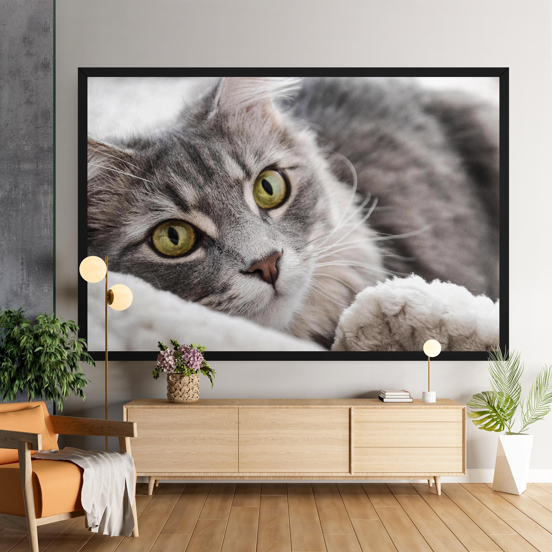 Картина на платно Grey Fluffy Cat mockup 9