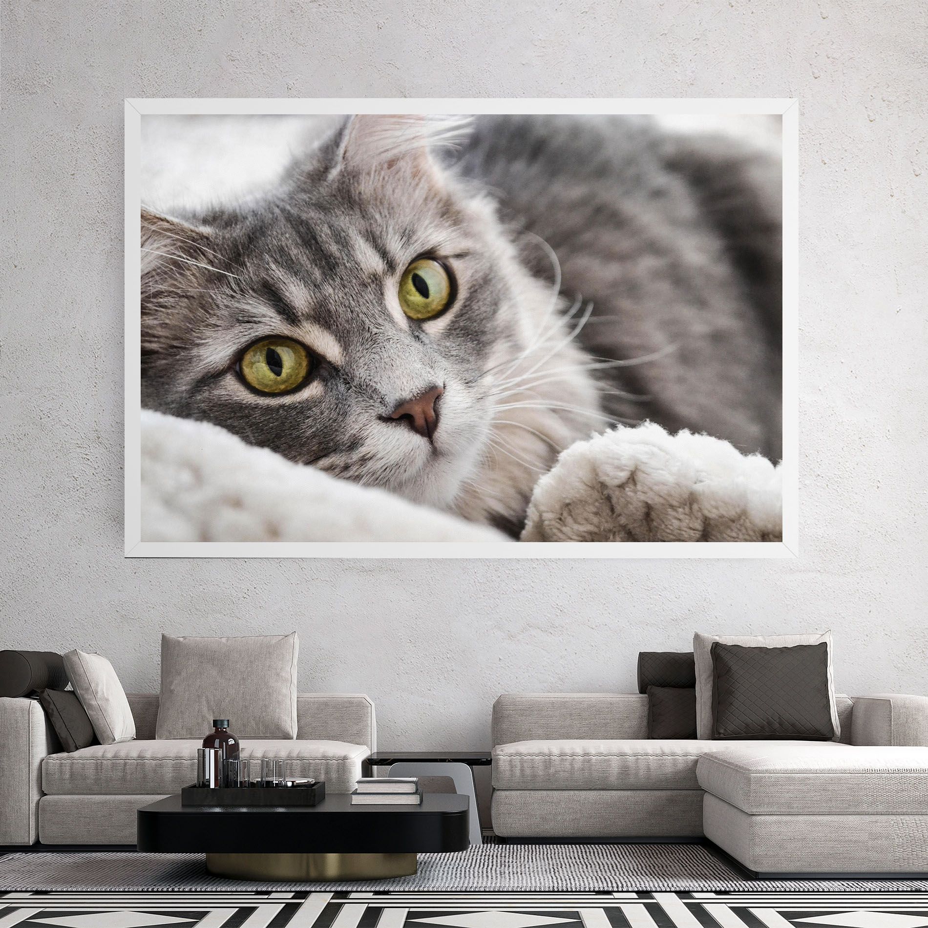 Grey Fluffy Cat mockup 2