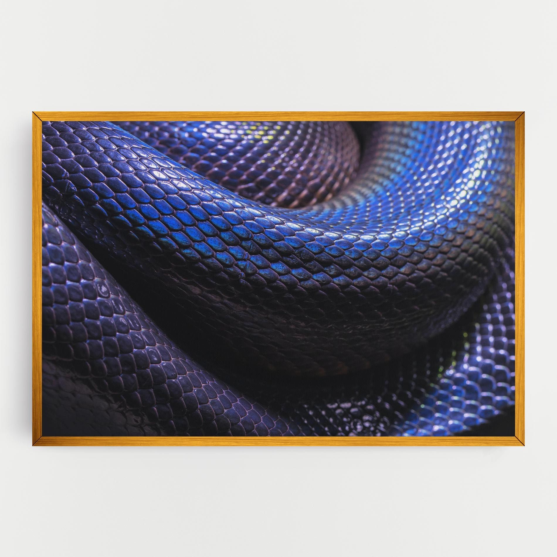 Snake Skin mockup 0