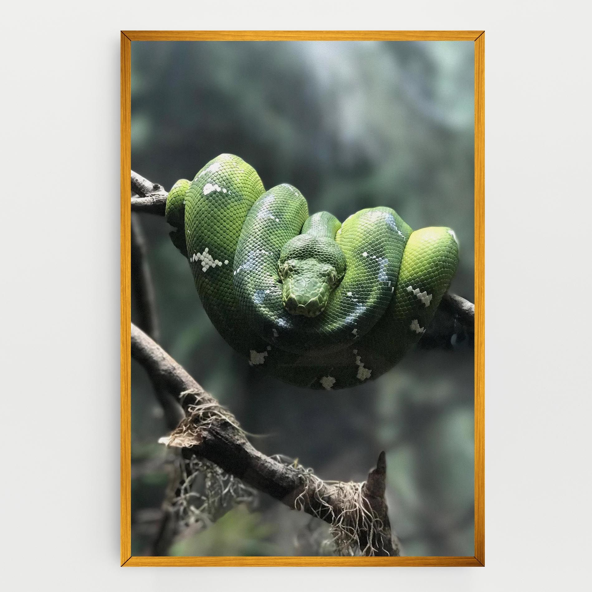 Sleepy Snake mockup 0