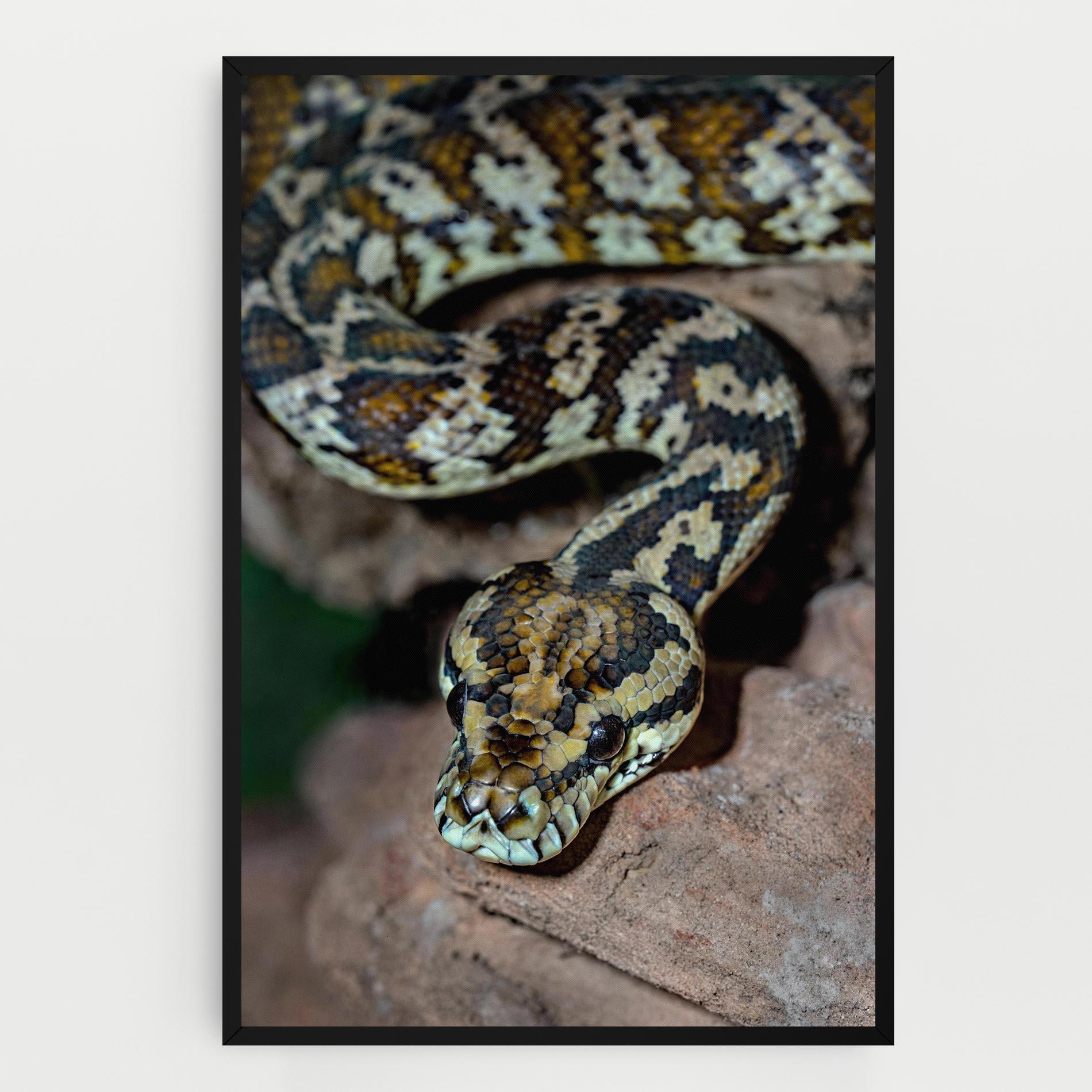 Картина на платно King Snake mockup 0