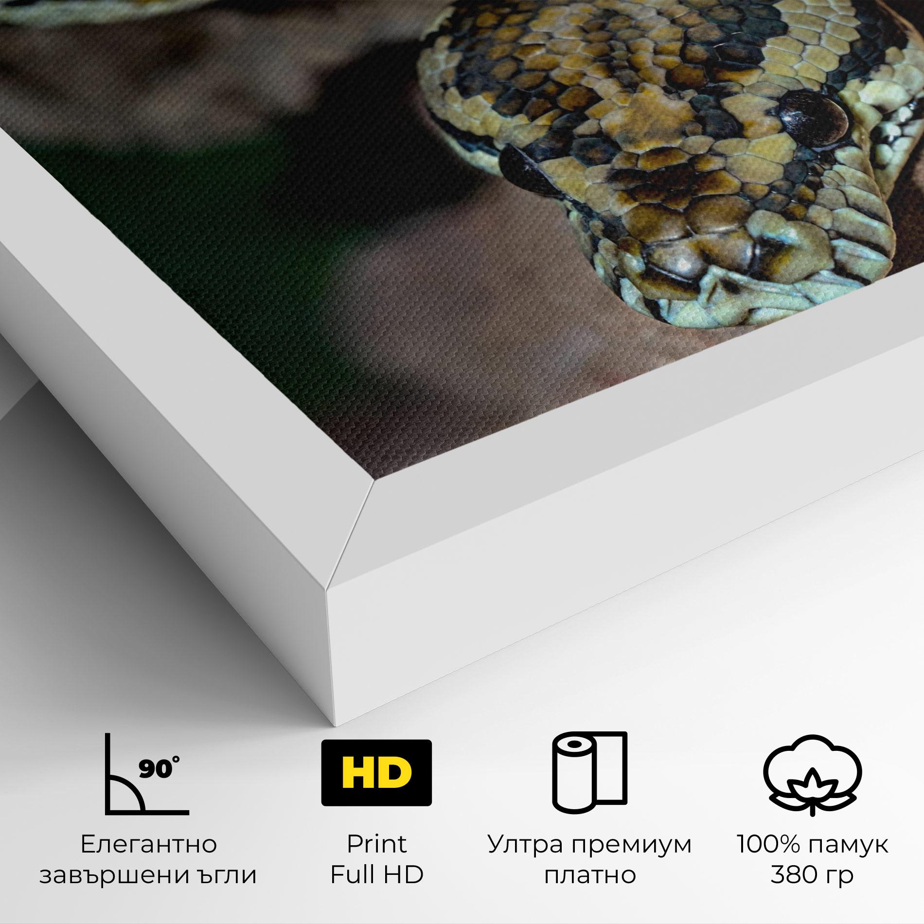 Картина на платно King Snake mockup 4