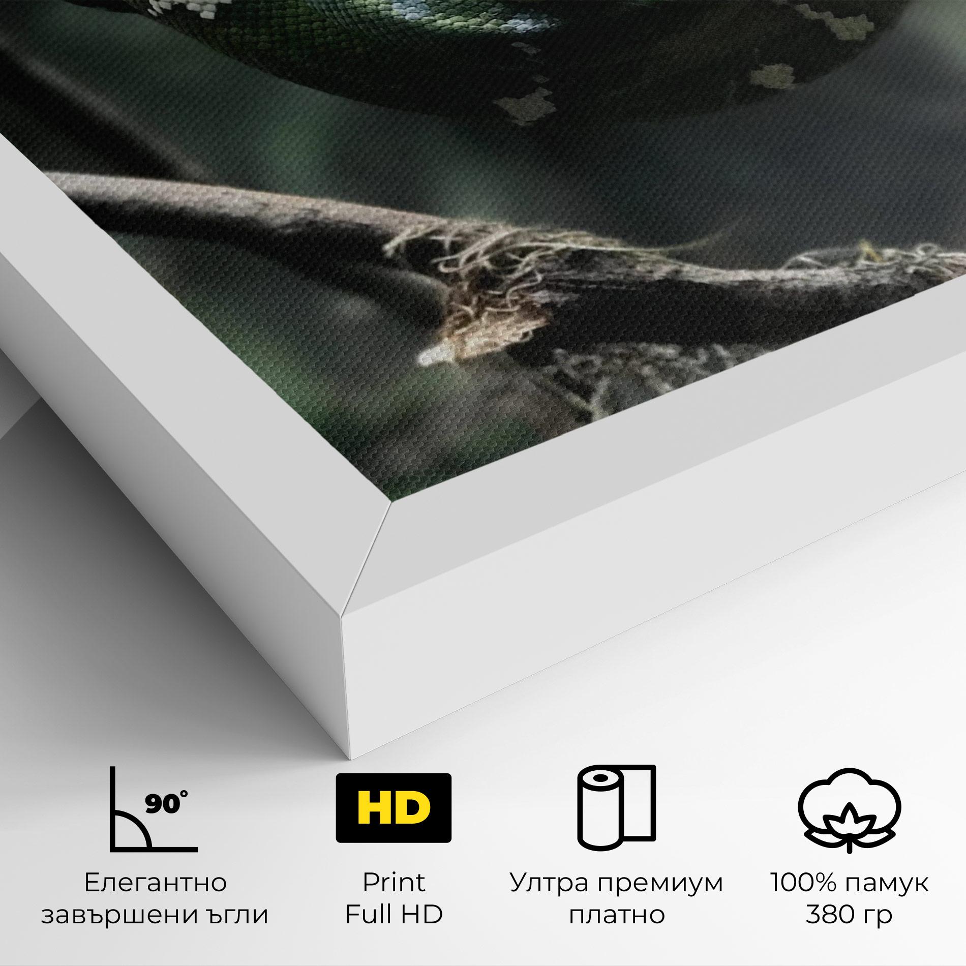 Картина на платно Sleepy Snake mockup 4