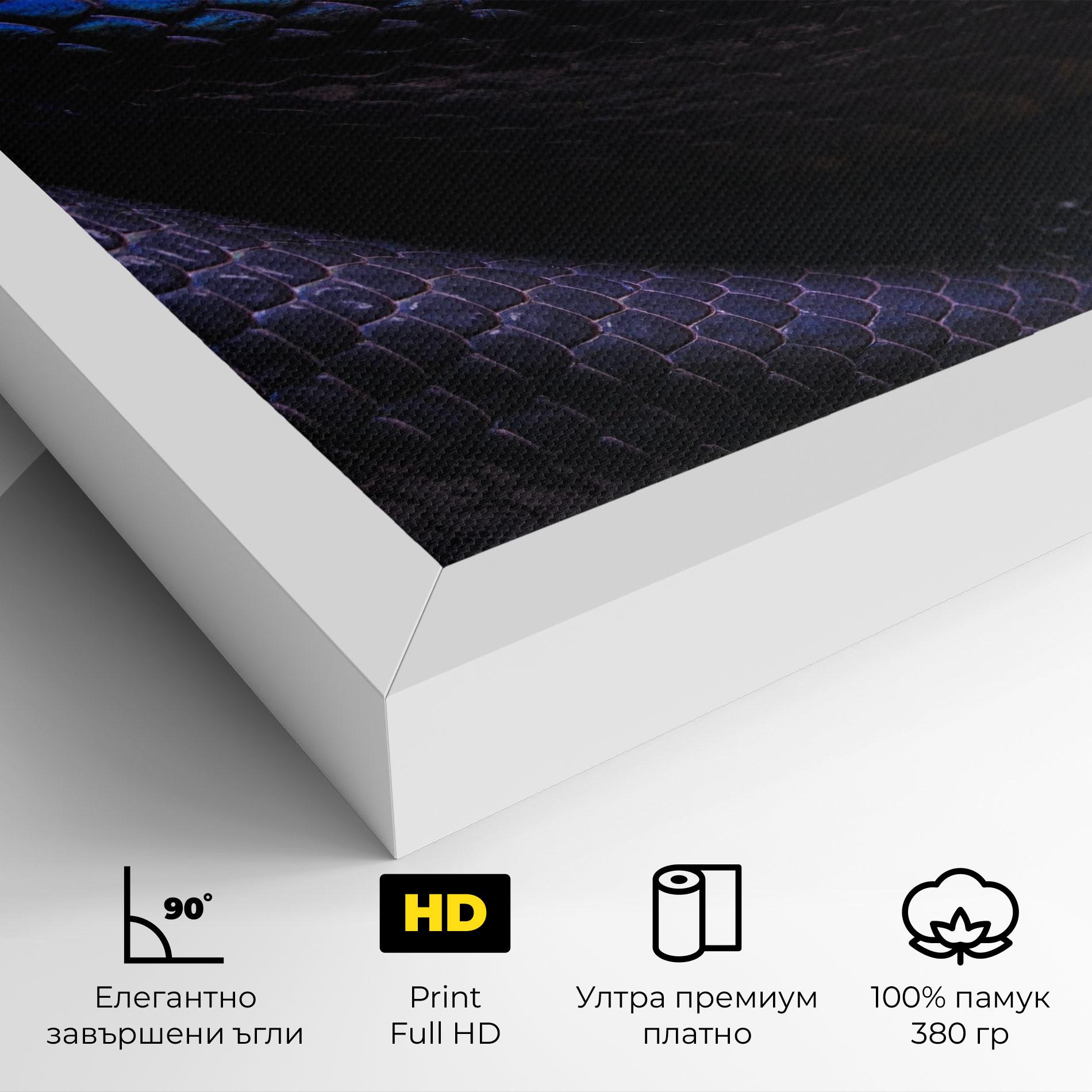 Картина на платно Snake Skin mockup 4