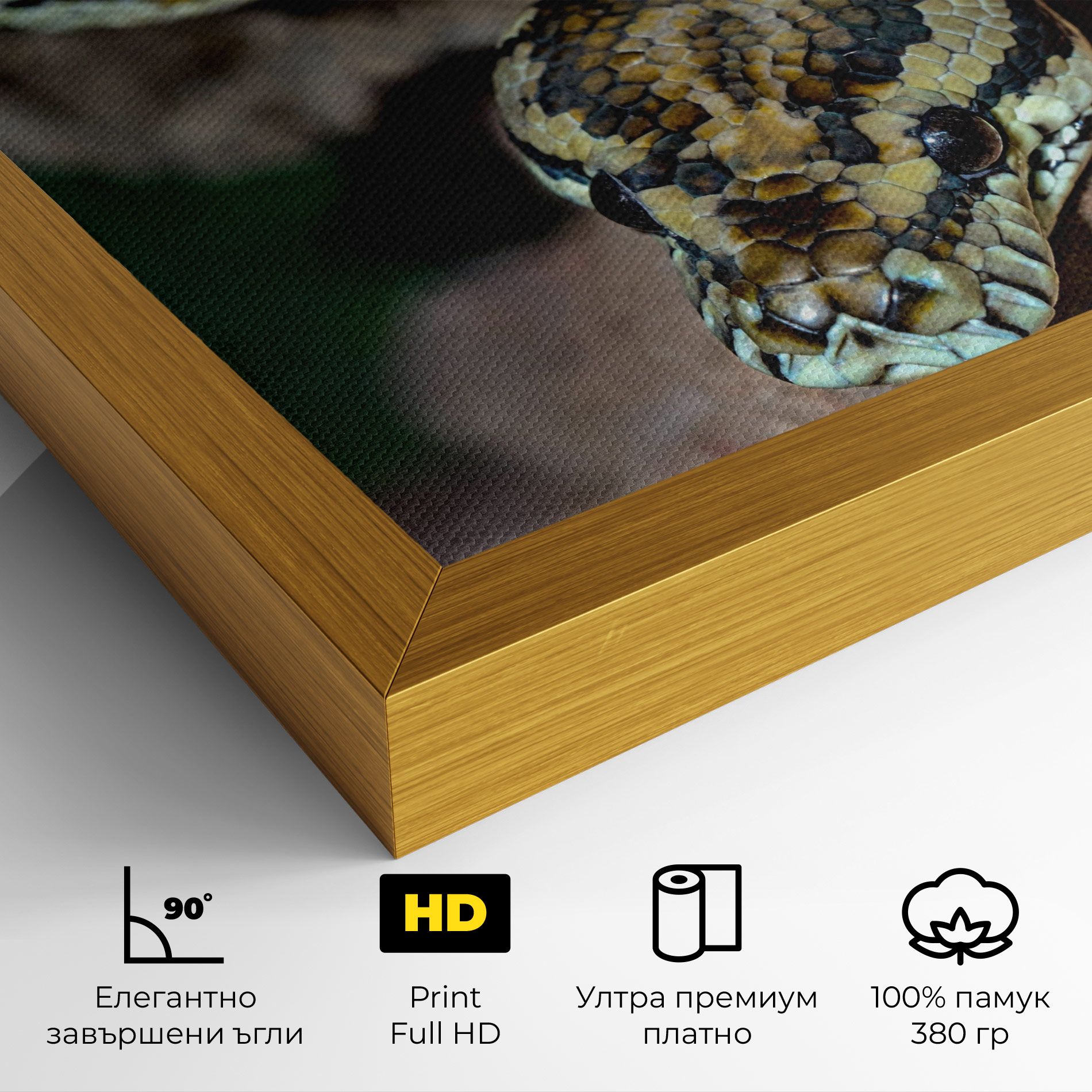 King Snake mockup 4