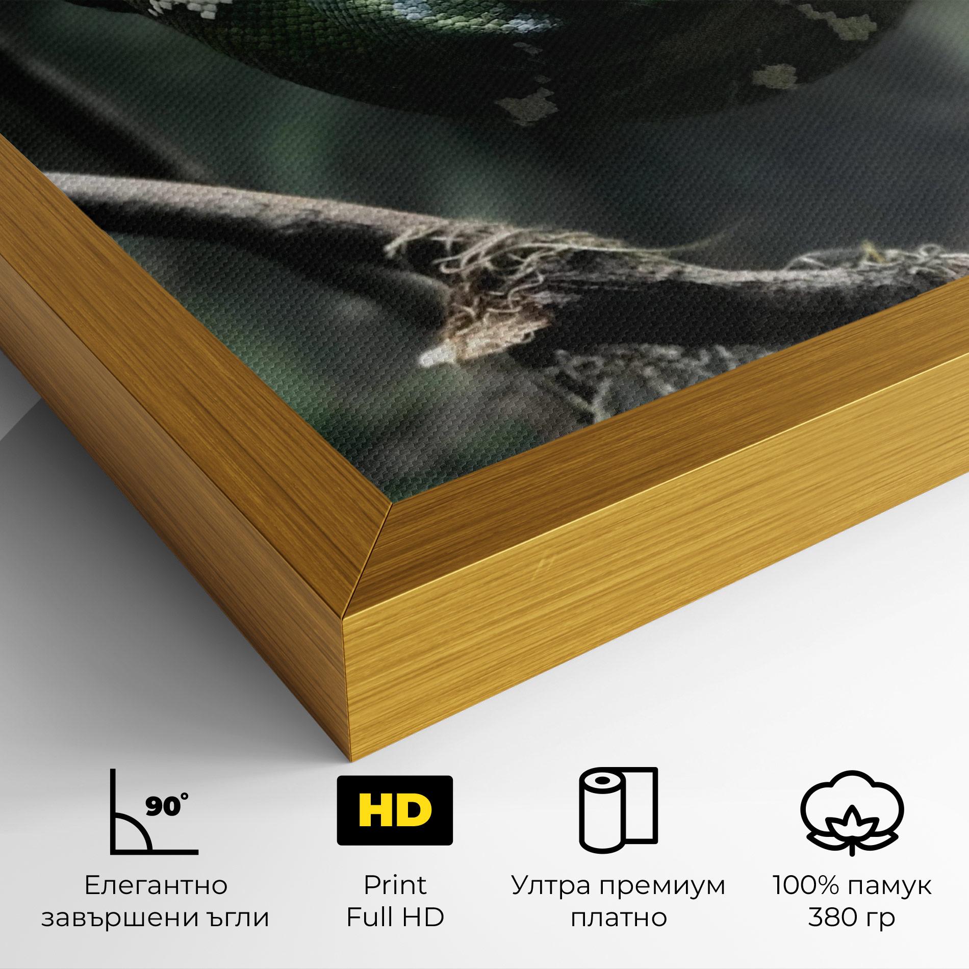 Картина на платно Sleepy Snake mockup 4