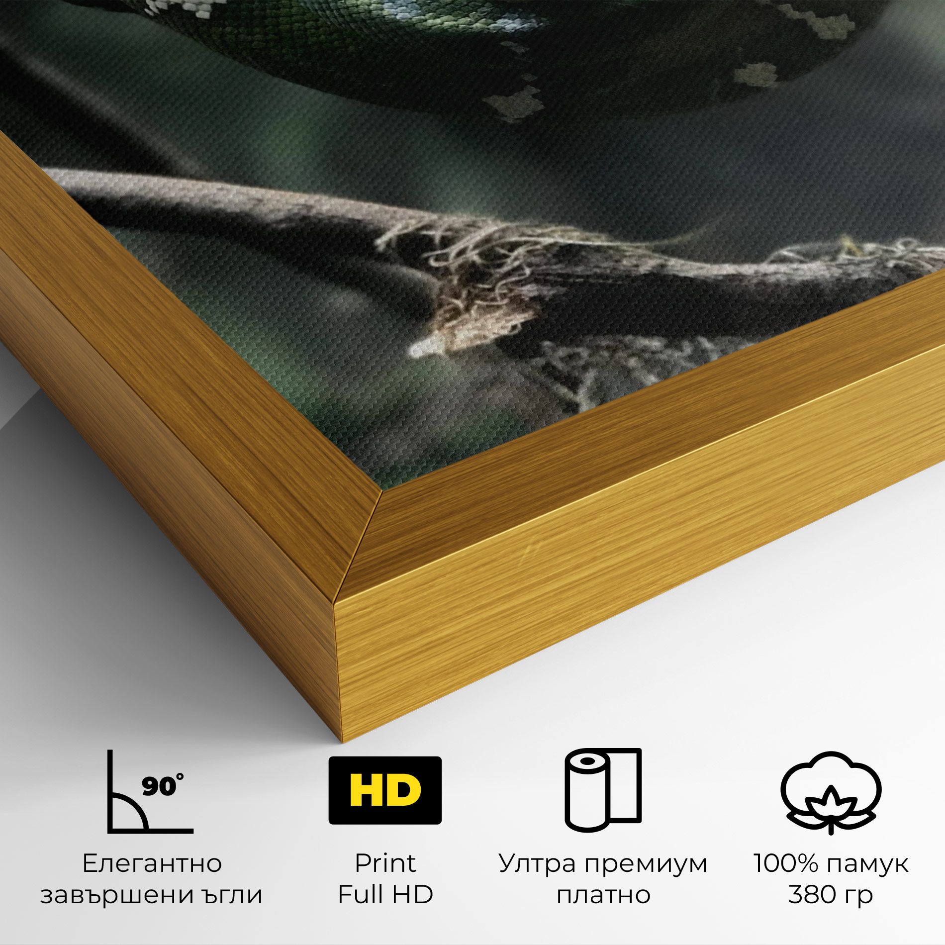Sleepy Snake mockup 4