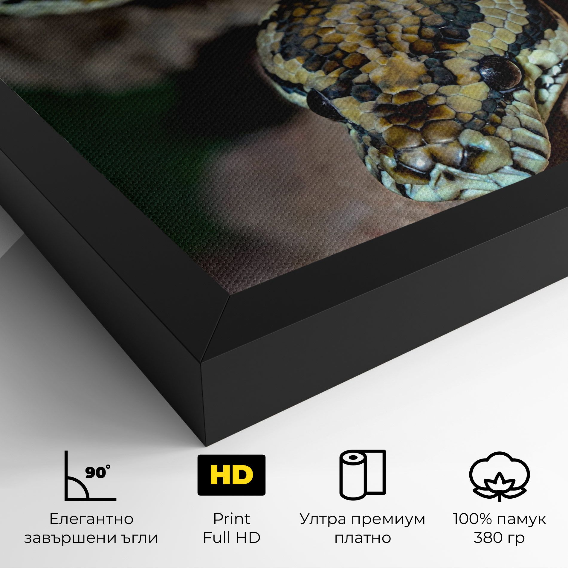 King Snake mockup 4