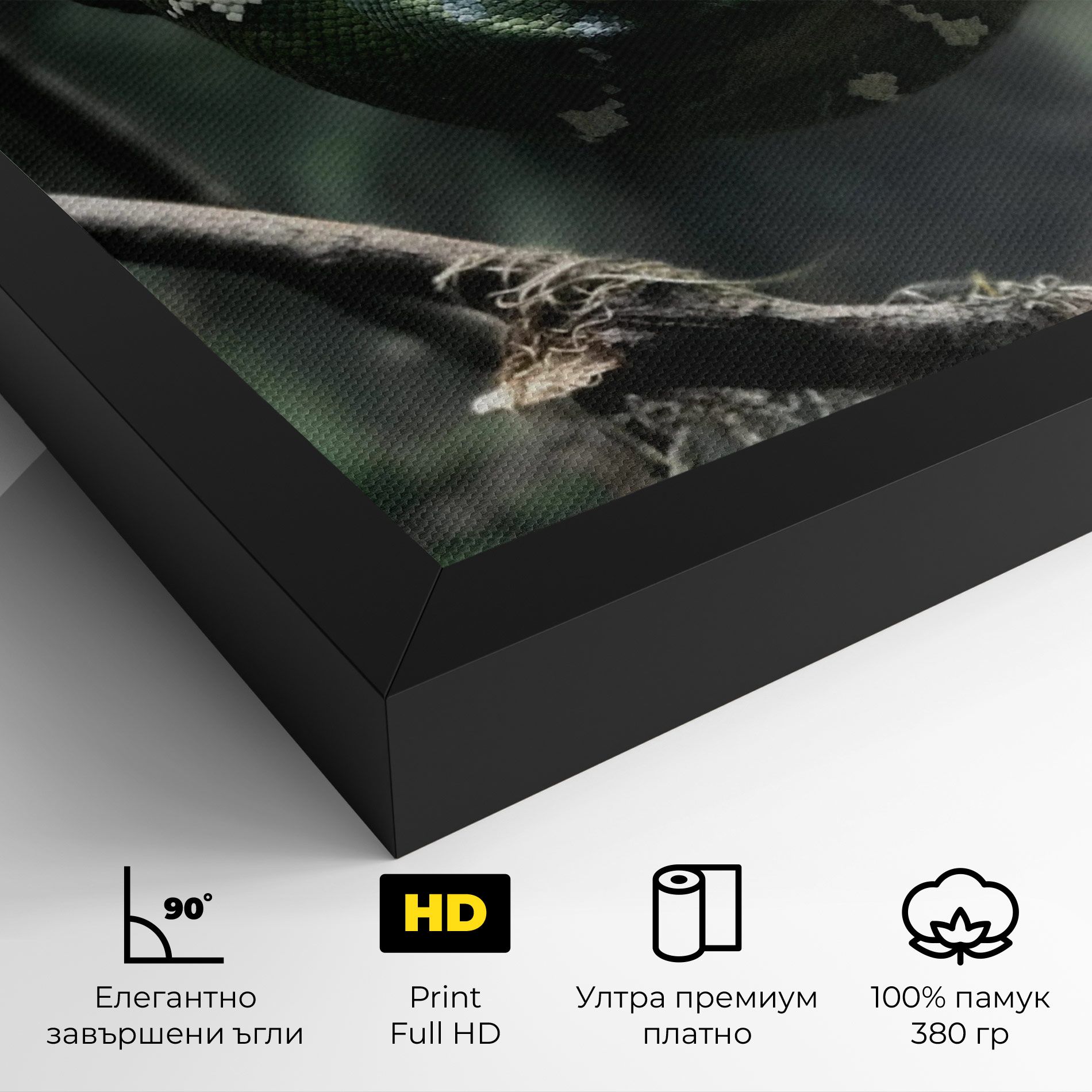 Sleepy Snake mockup 4