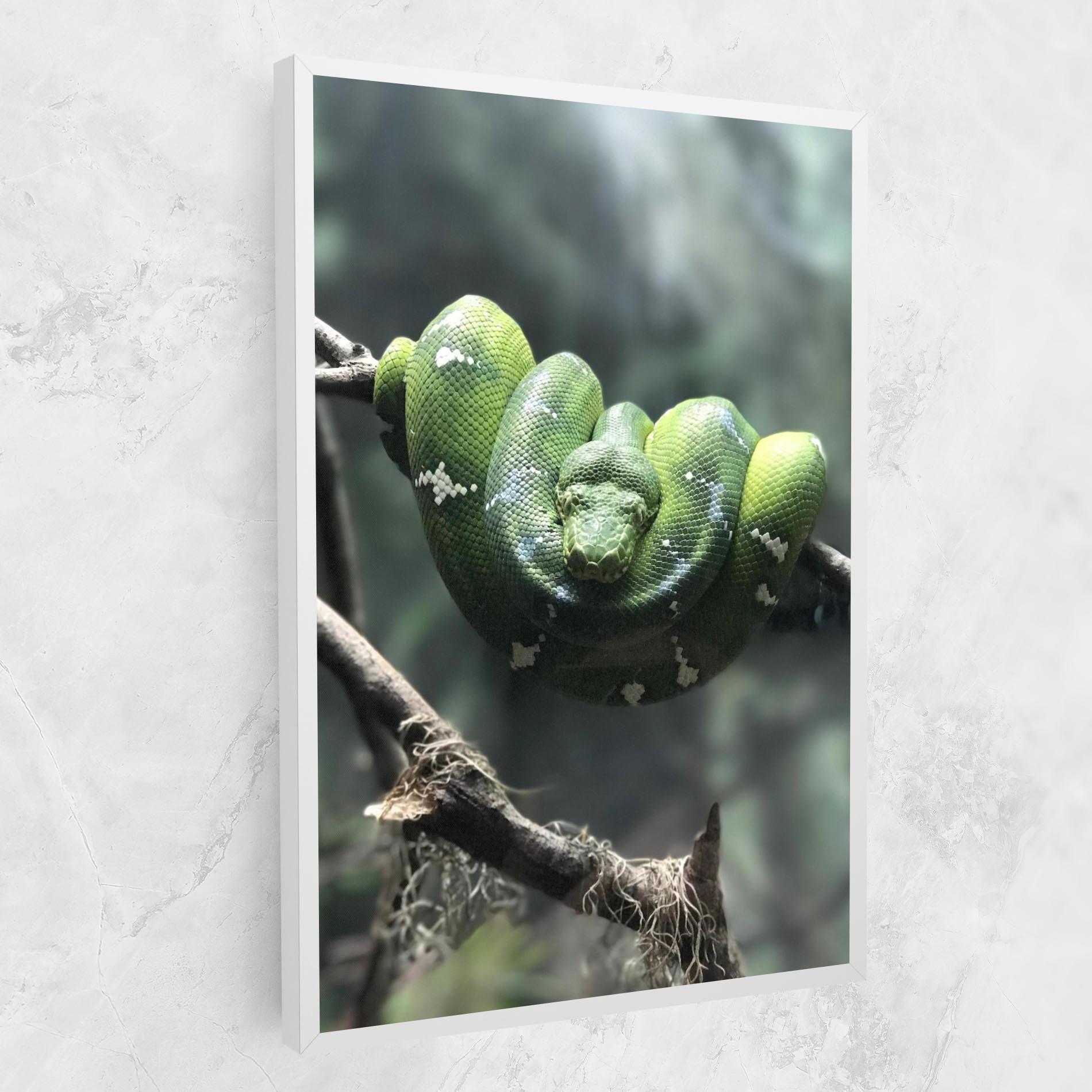 Картина на платно Sleepy Snake mockup 1