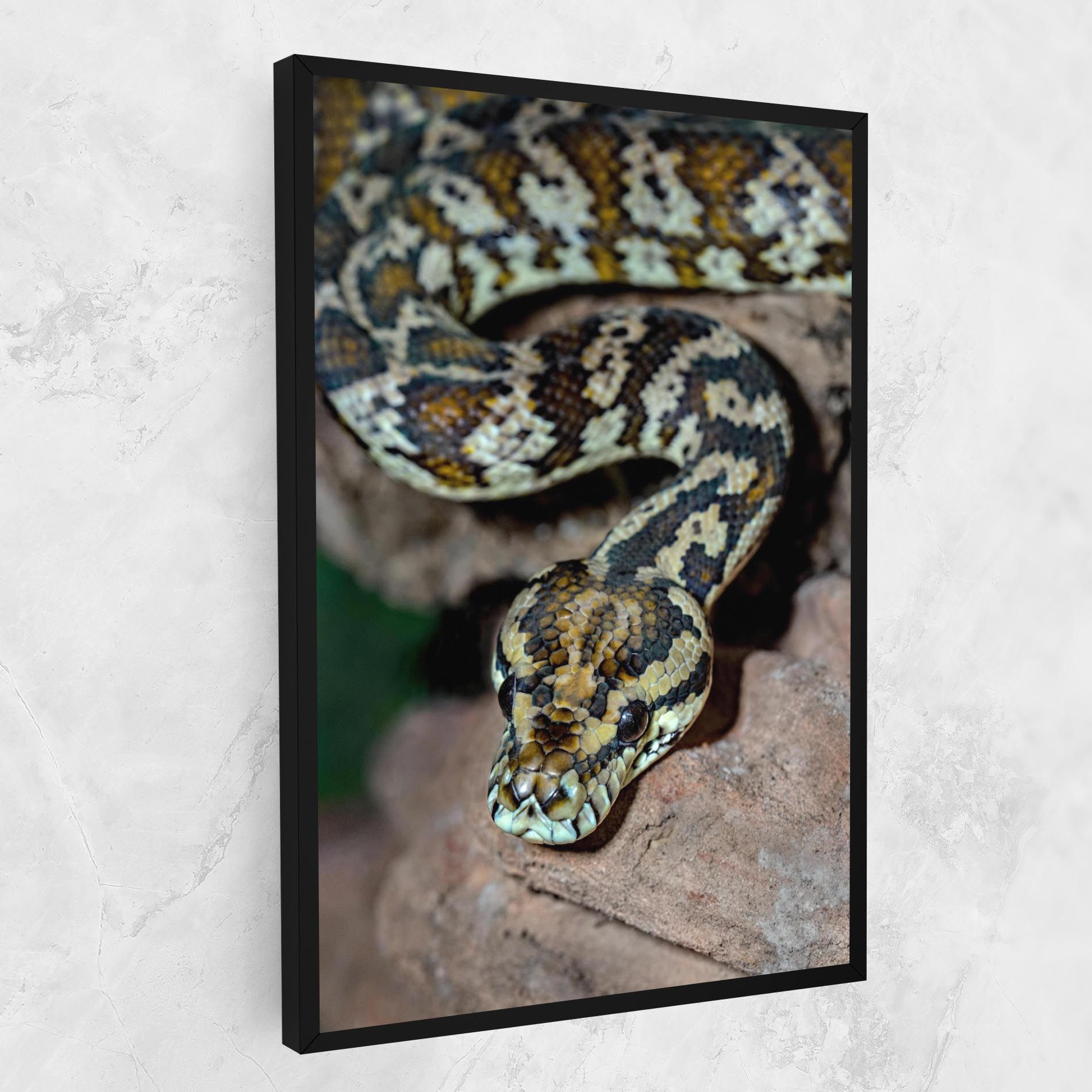 King Snake mockup 1